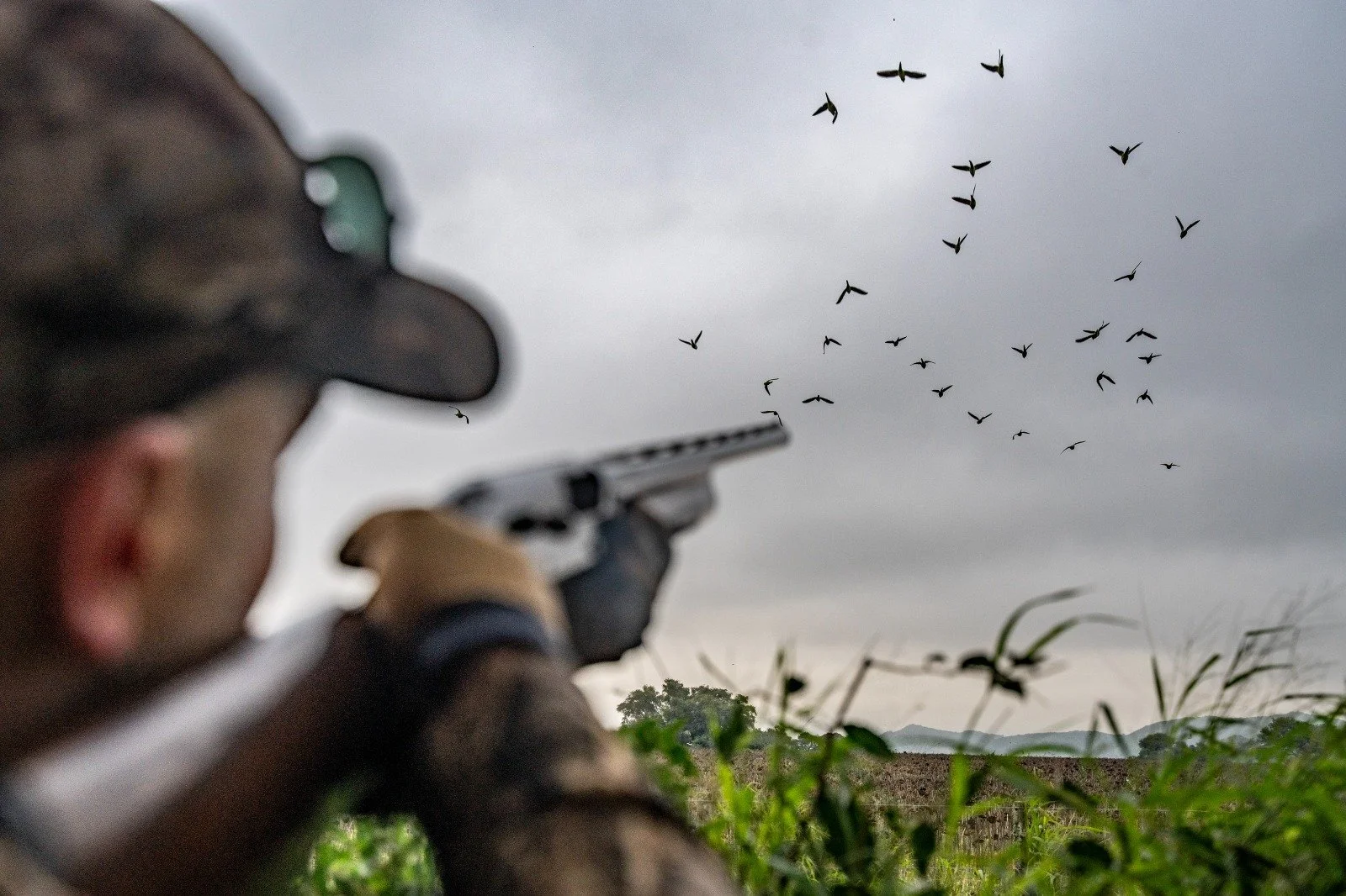 WhatsApp Image 2025-09-03 at 08.19.34 (1).jpeg