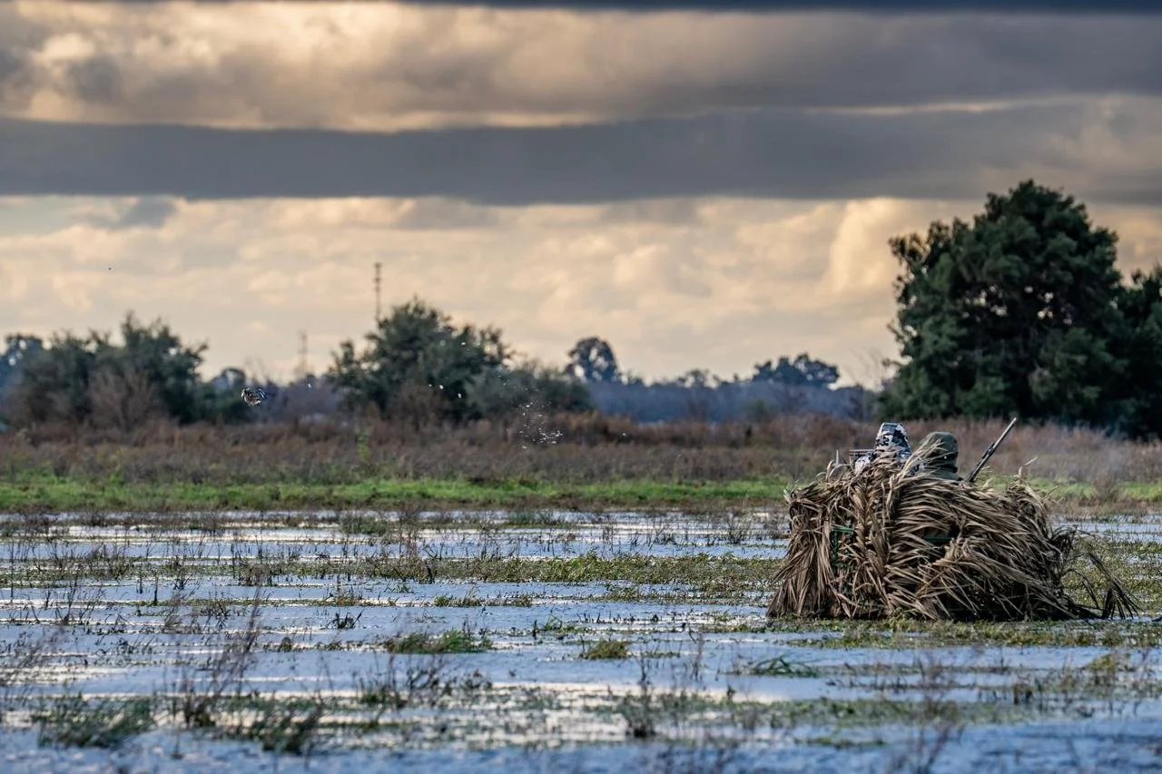 WhatsApp Image 2025-09-23 at 15.40.36 (1).jpeg