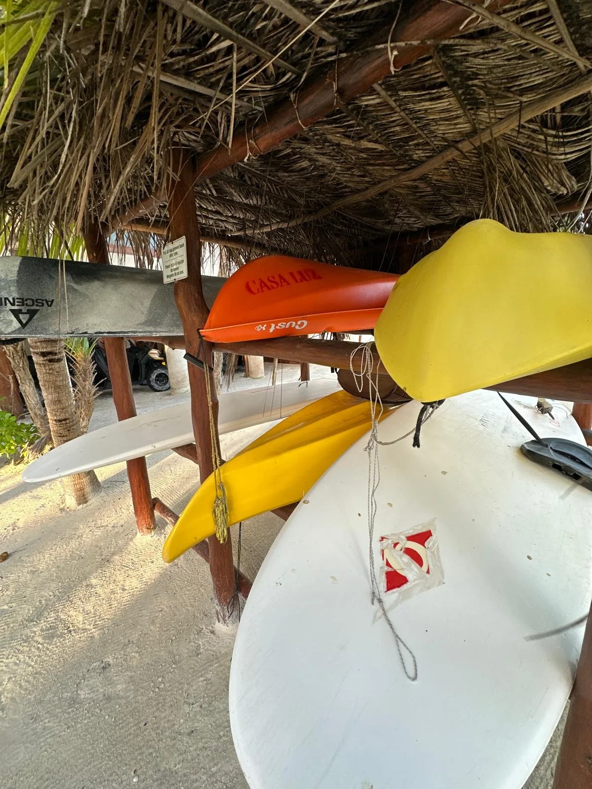 WhatsApp Image 2025-06-02 at 12.22.30 (2).jpeg