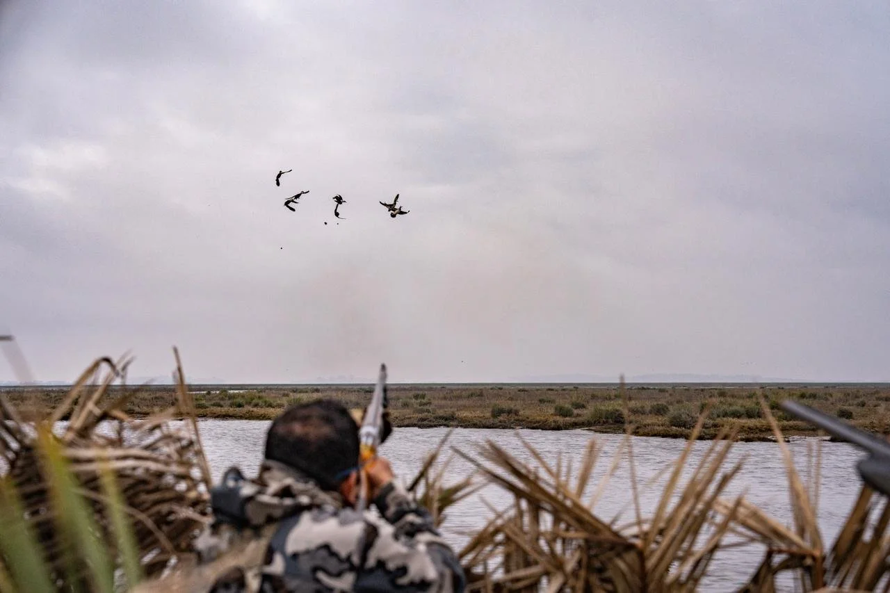 WhatsApp Image 2025-09-23 at 15.40.34.jpeg