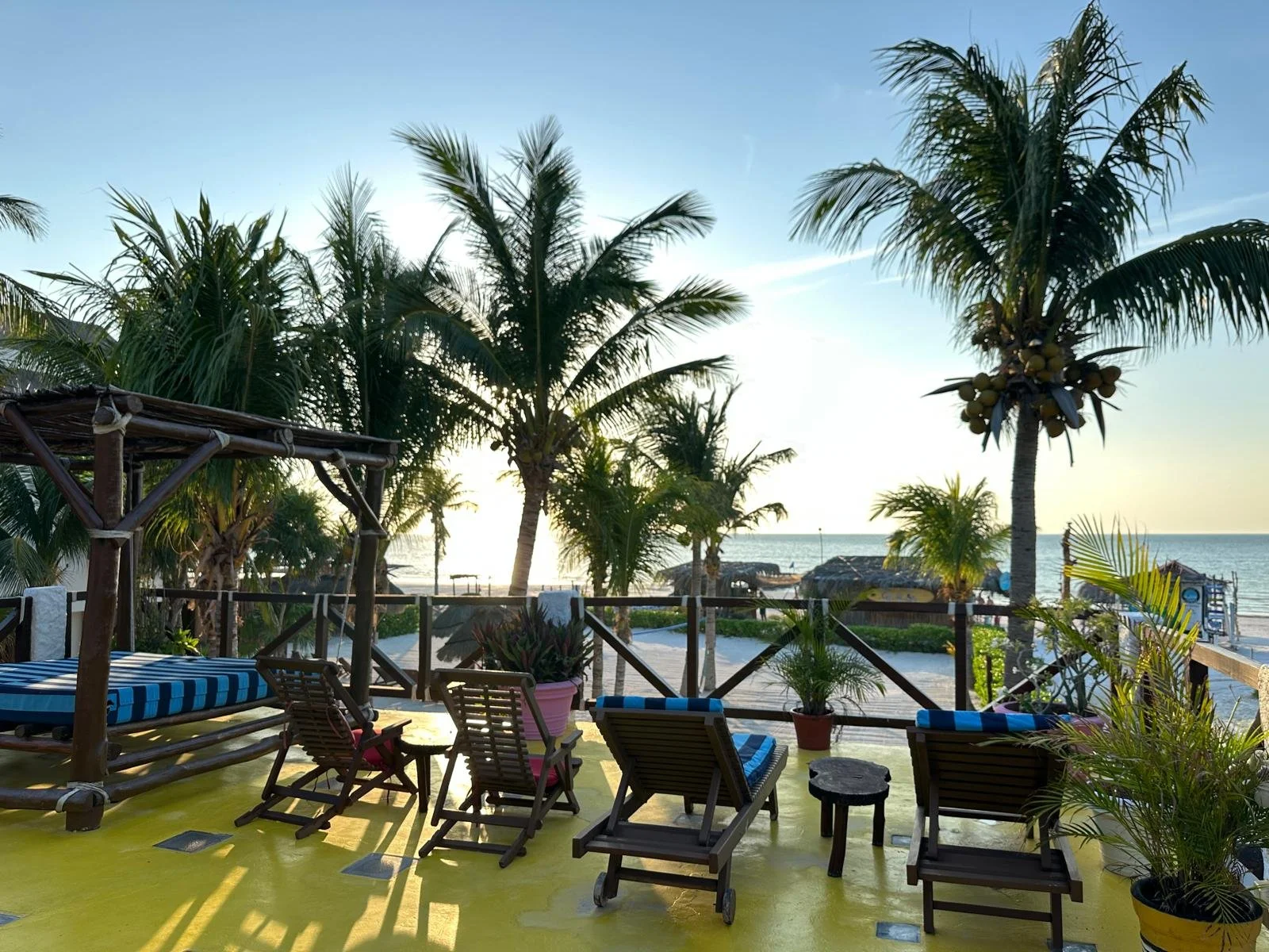 WhatsApp Image 2025-06-02 at 12.23.20 (1).jpeg