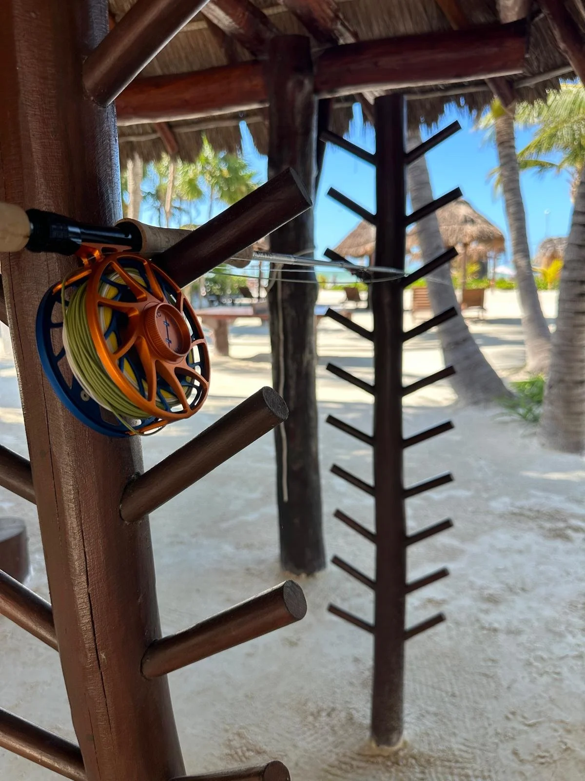 WhatsApp Image 2025-06-02 at 12.22.30.jpeg