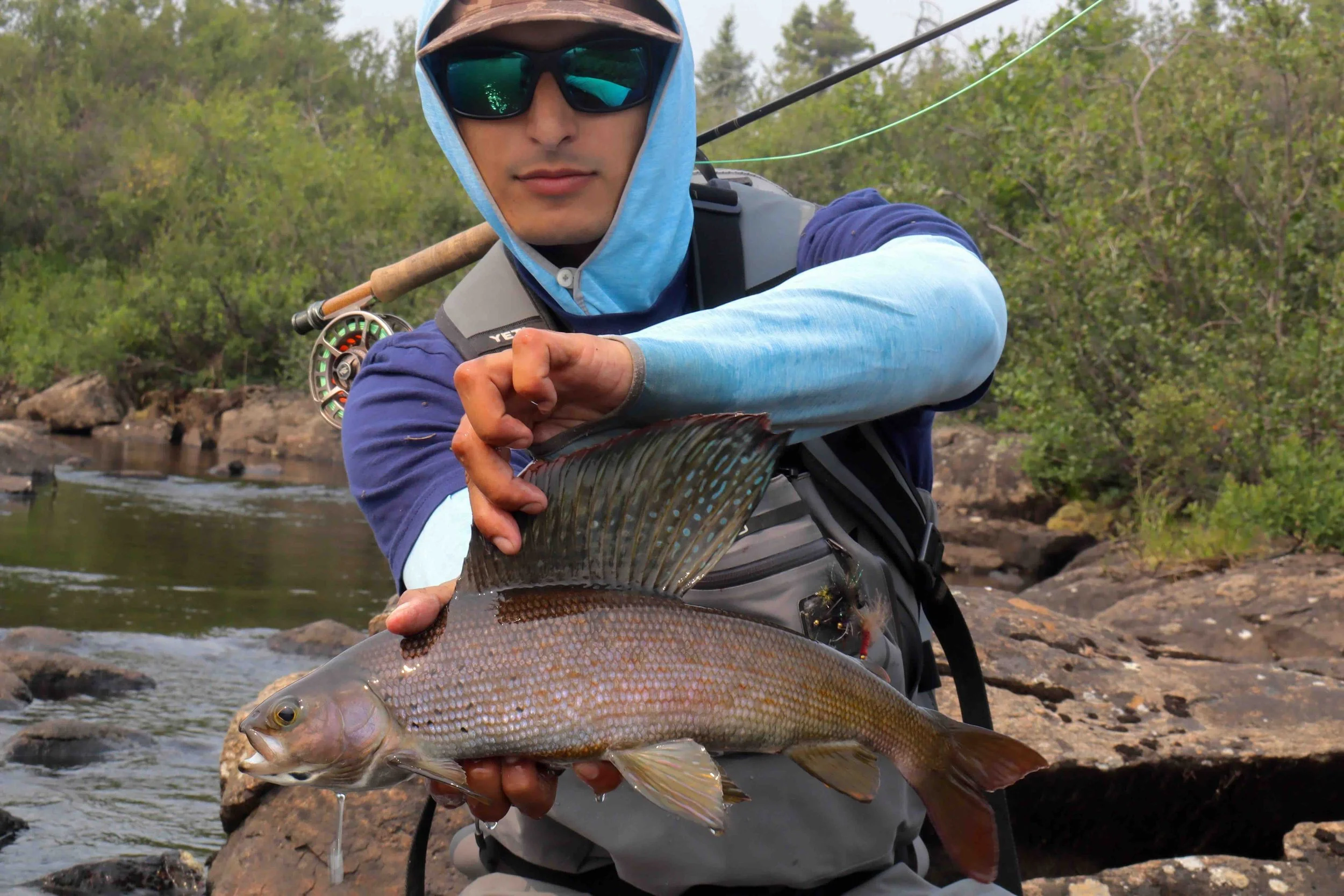 Copy of Michael grayling.jpeg