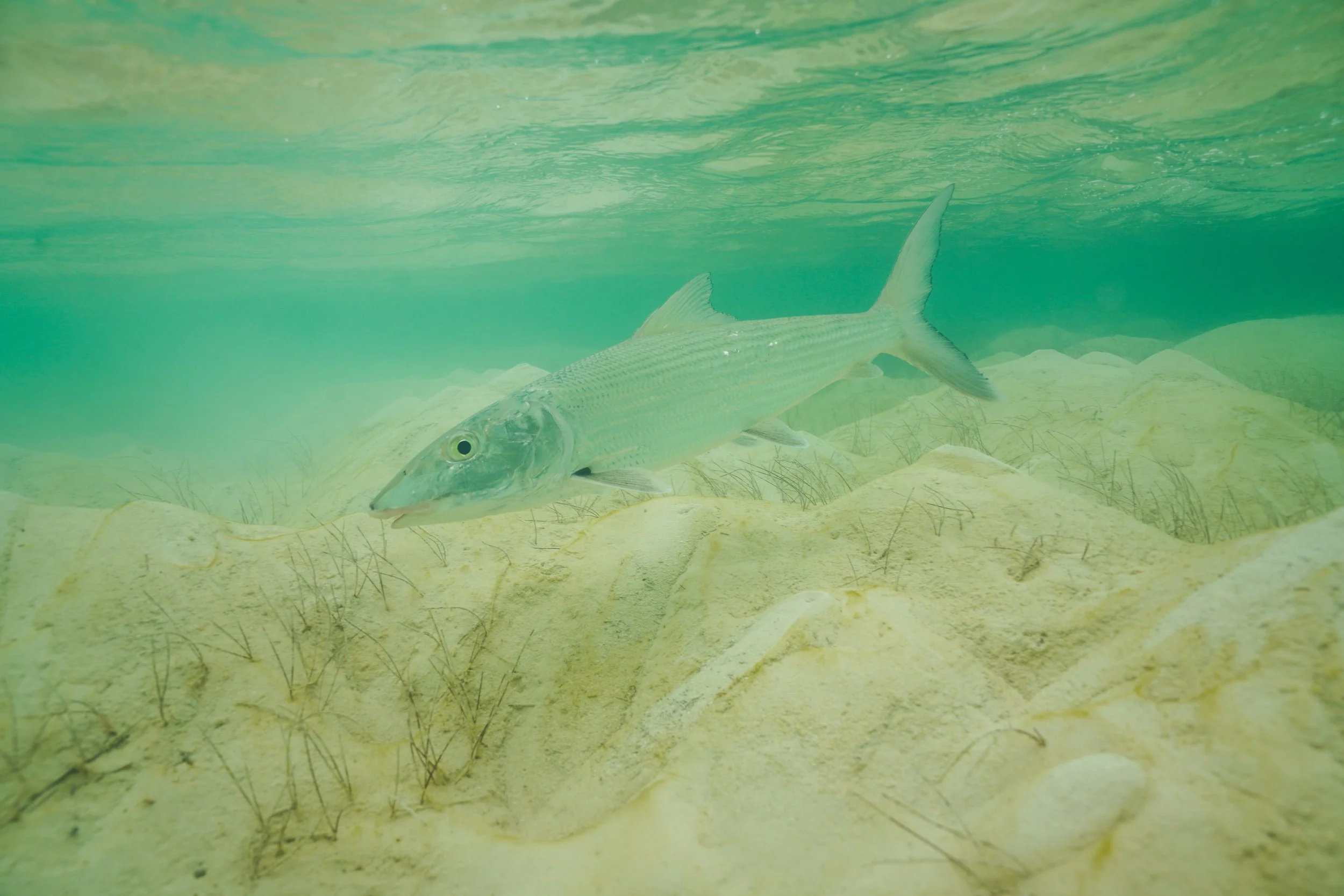 Photo Apr 30 2025, 10 57 35 PM.jpg