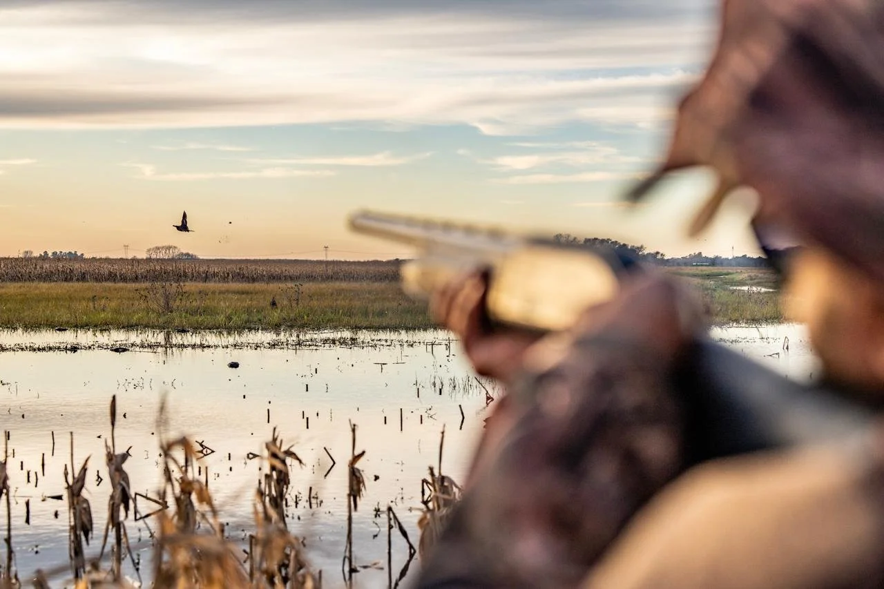 WhatsApp Image 2025-09-23 at 15.40.29 (1).jpeg