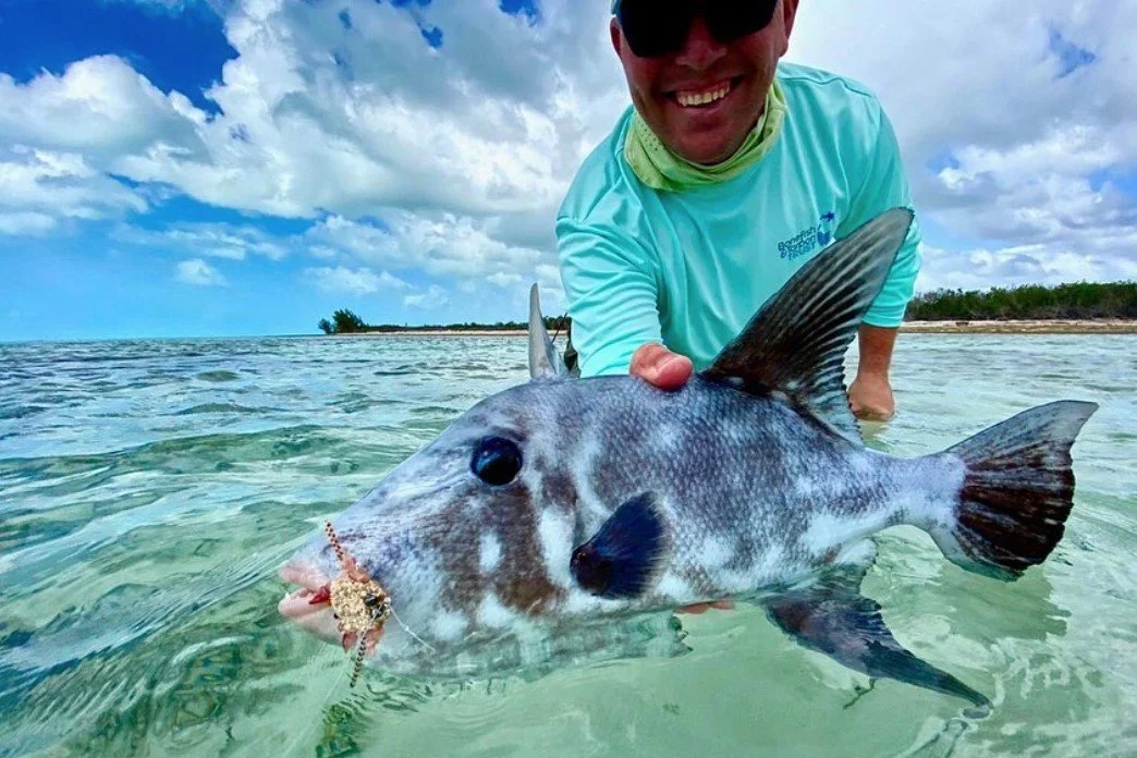 Screen+Shot+2022-03-10+at+12.20.24+PM (1).jpg