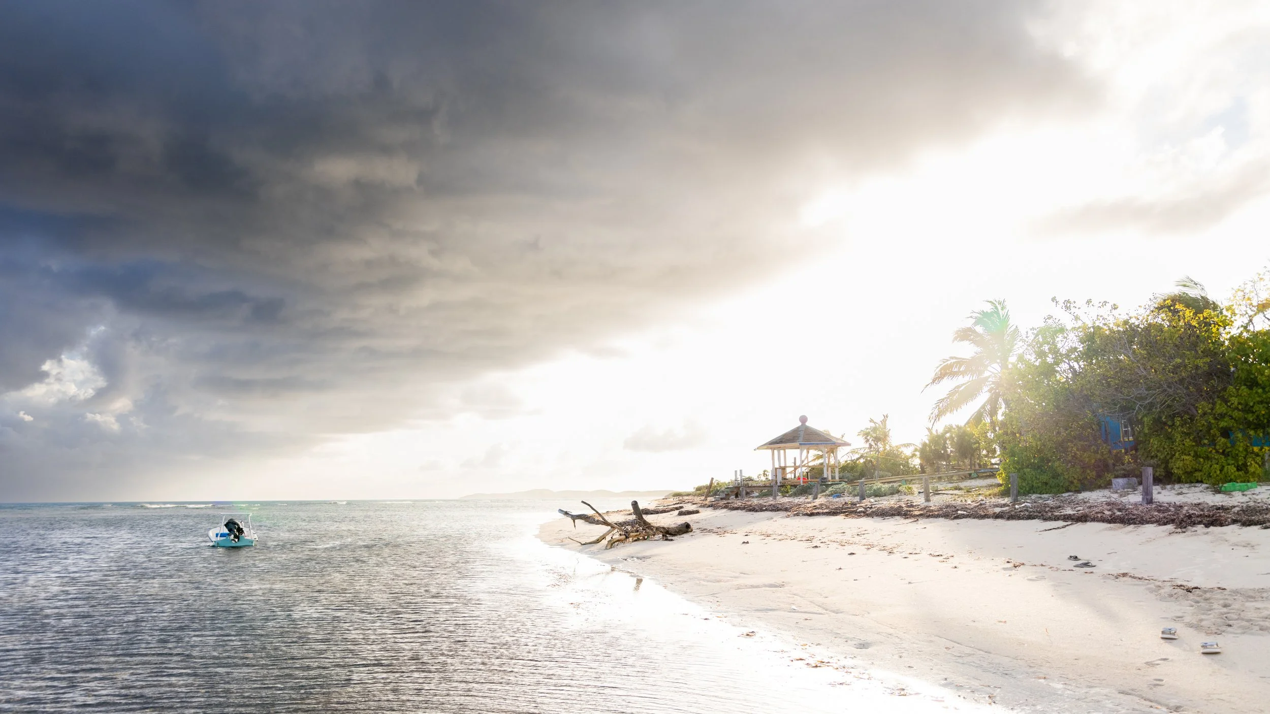 Photo Apr 29 2025, 6 27 18 PM.jpg