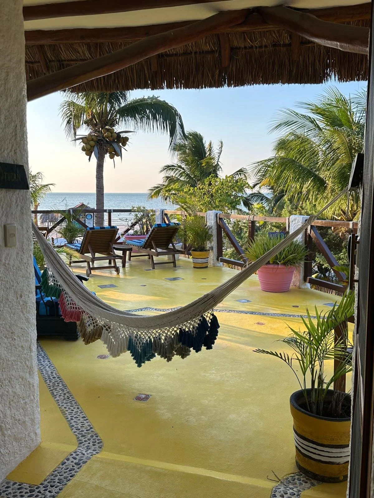 WhatsApp Image 2025-06-02 at 12.23.22.jpeg