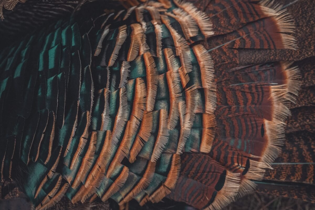 untitled-05040.jpeg