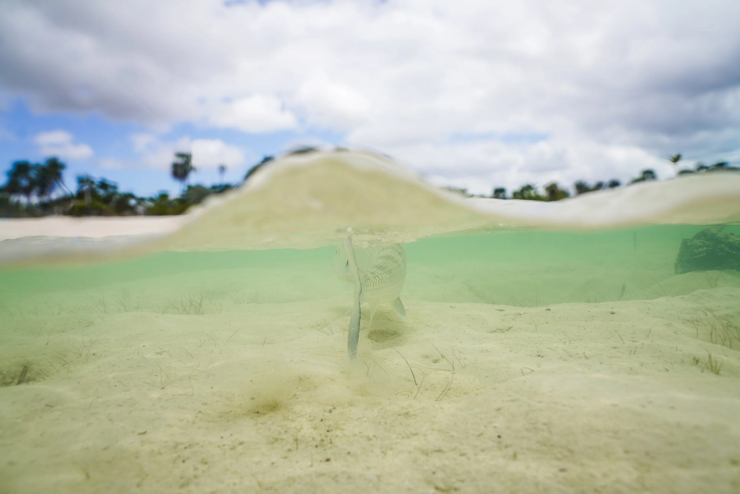 Photo Apr 30 2025, 10 34 00 PM.jpg