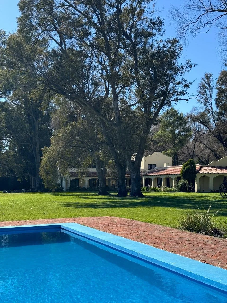 WhatsApp Image 2025-09-04 at 07.21.13.jpeg