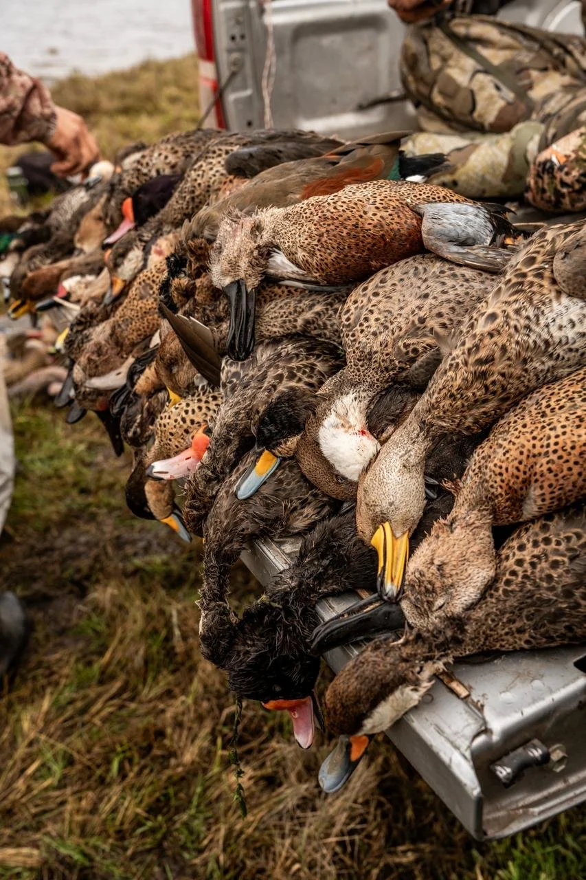 WhatsApp Image 2025-09-23 at 15.40.36.jpeg