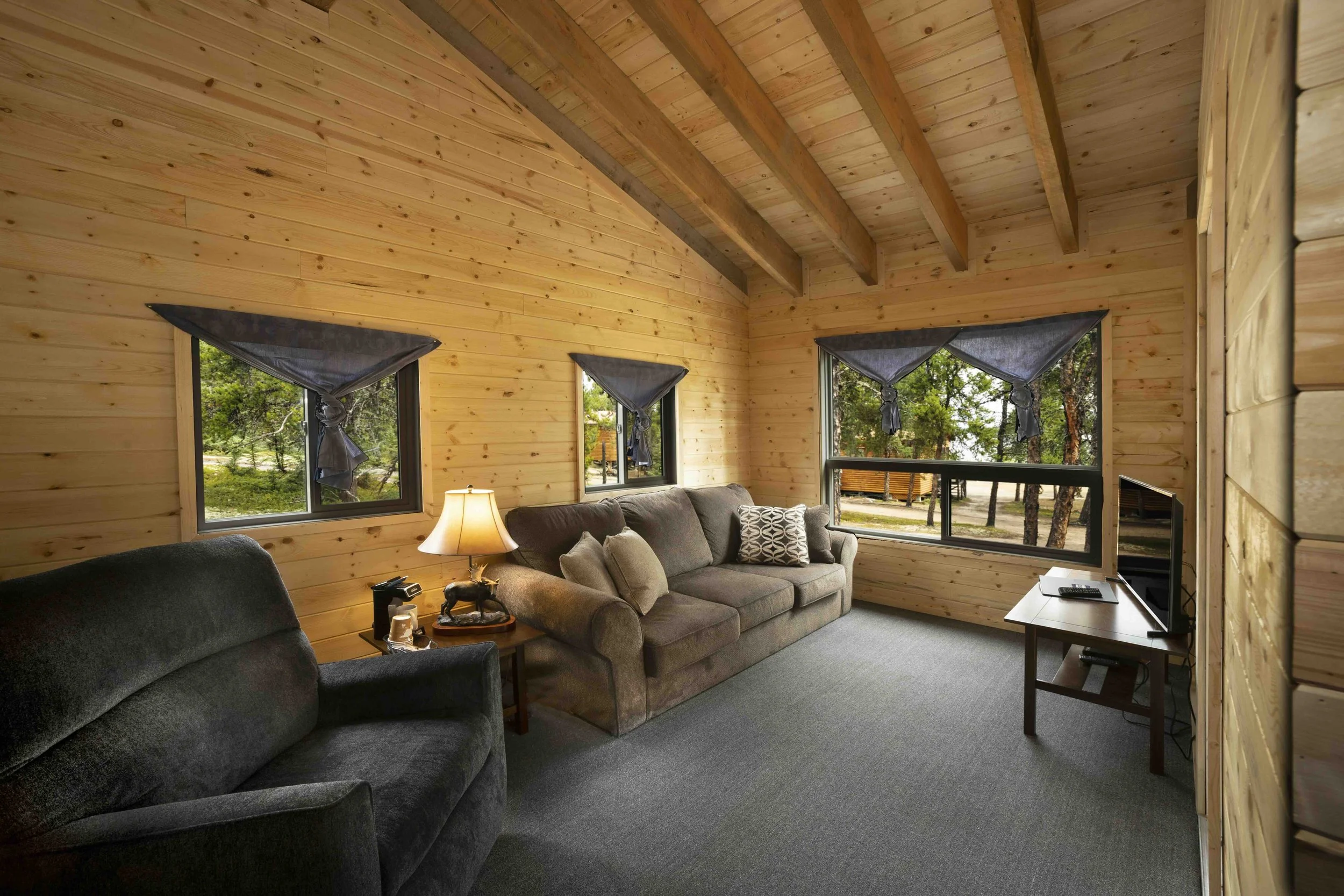 Copy of Cabin 9 living room (002).jpeg