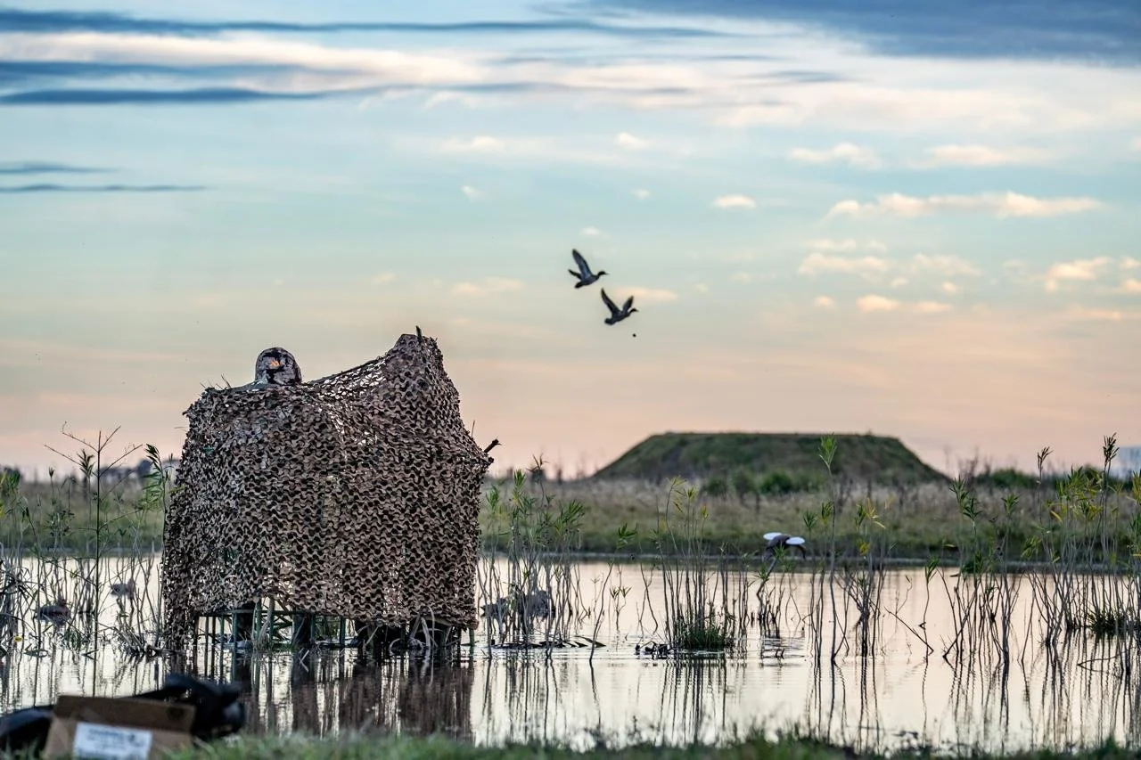 WhatsApp Image 2025-09-23 at 15.40.33.jpeg