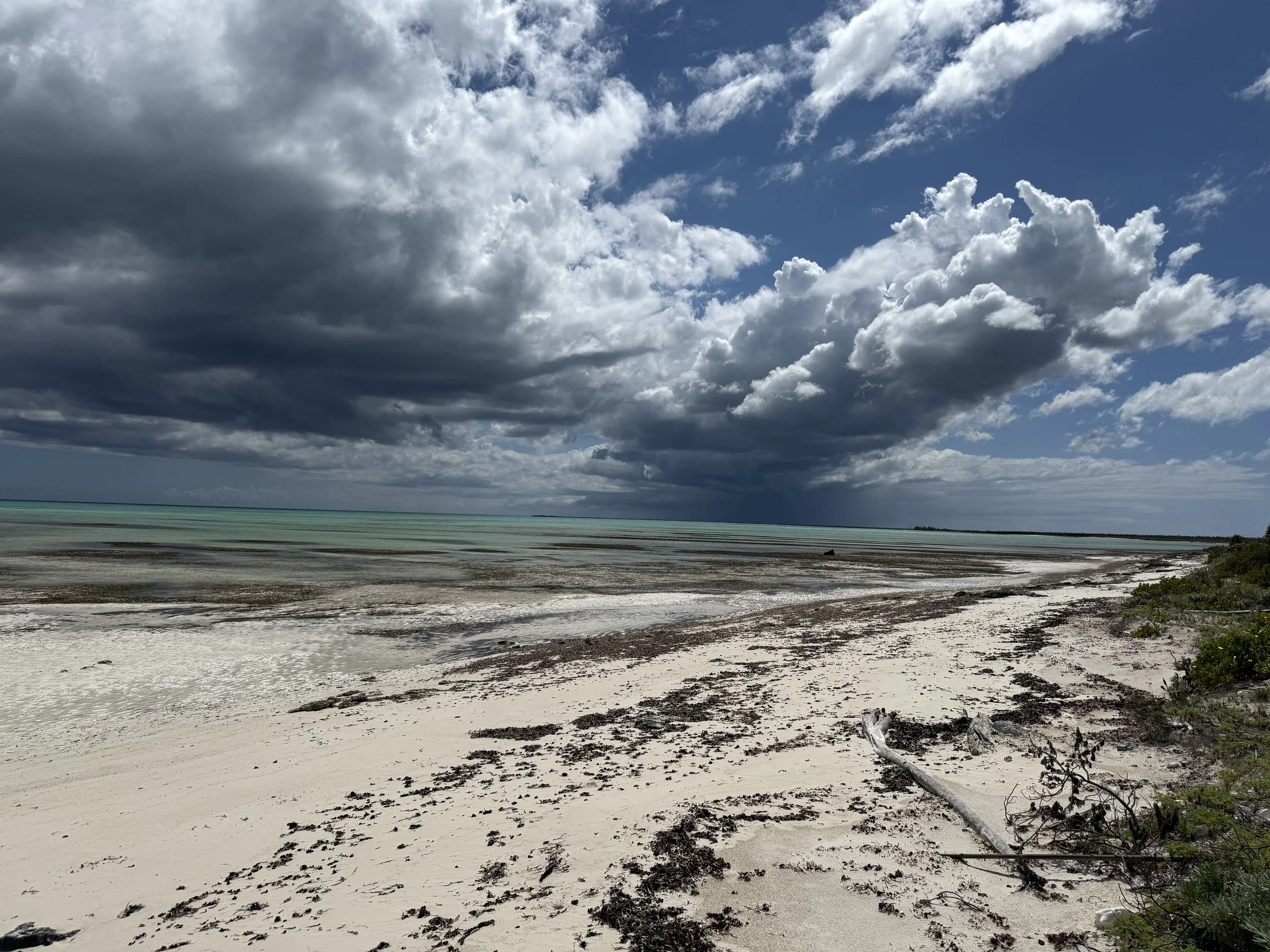 Photo Apr 28 2025, 3 08 25 PM.jpg