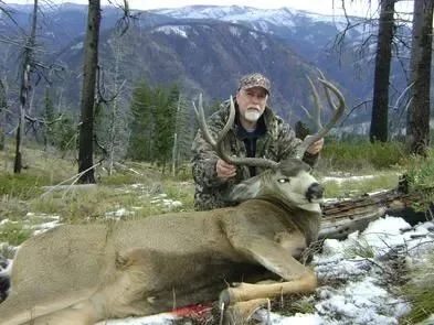 393_B_nice_muledeer-1920w.jpg.jpeg