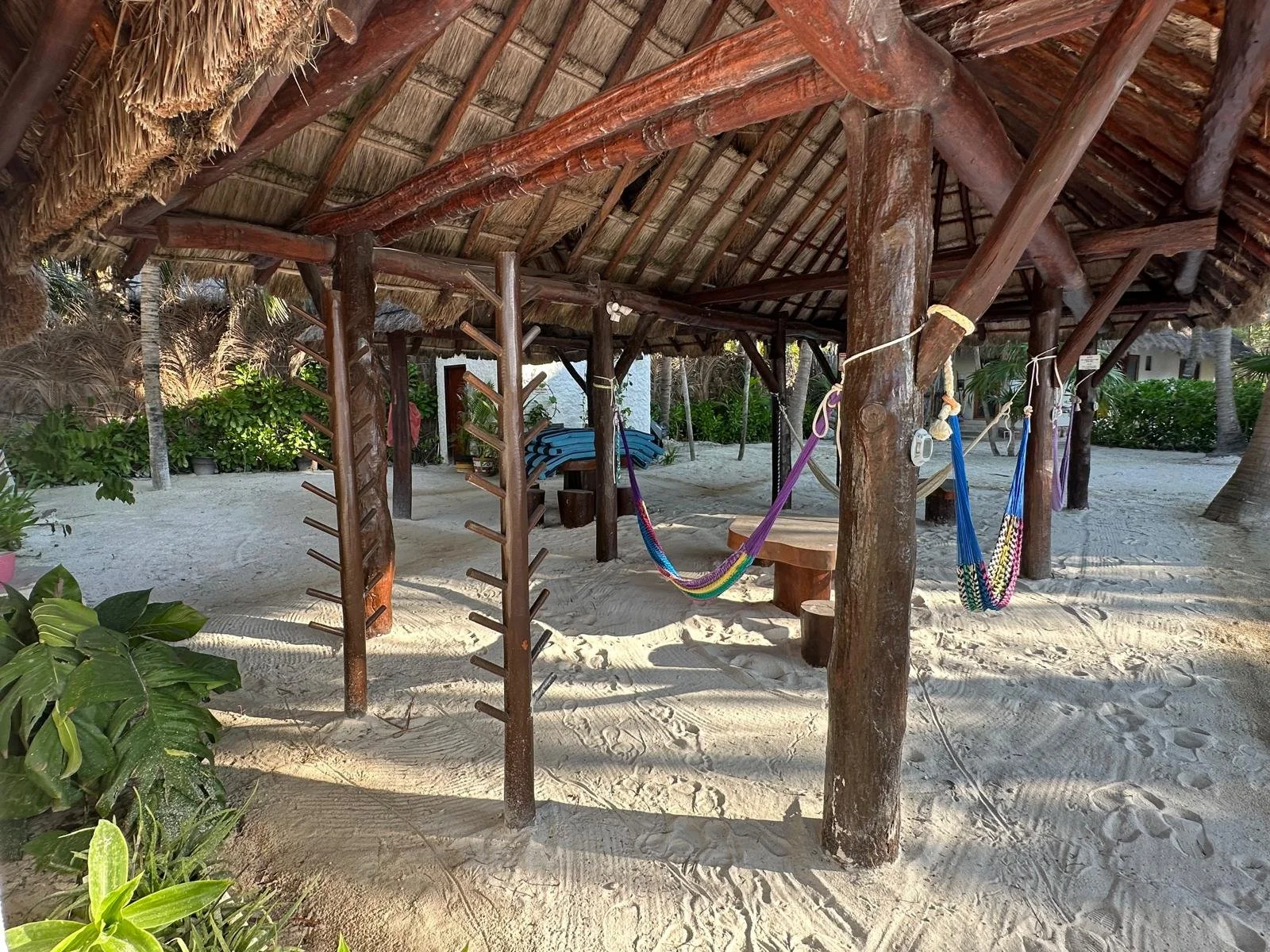 WhatsApp Image 2025-06-02 at 12.22.32 (1).jpeg