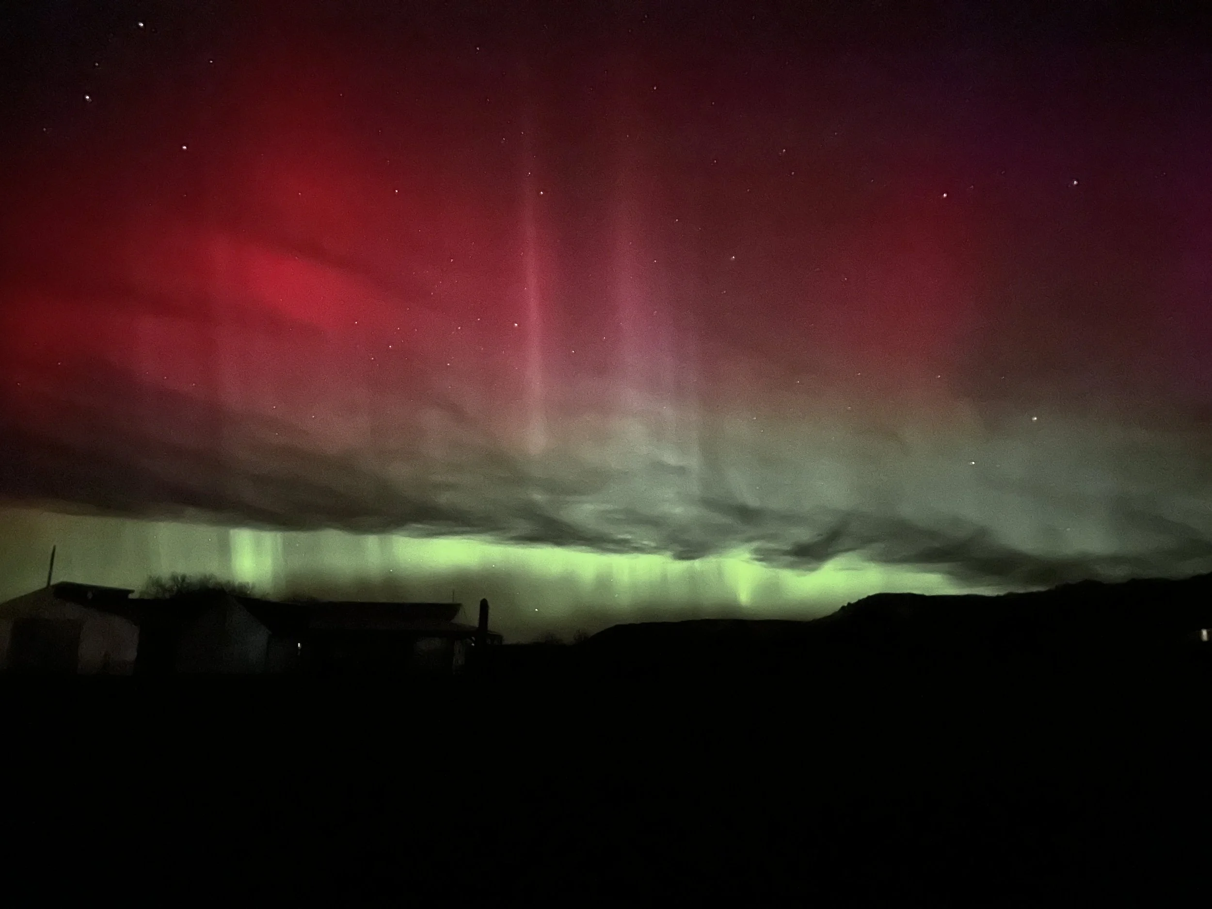 Photo Nov 09 2024, 4 45 32 AM.jpg