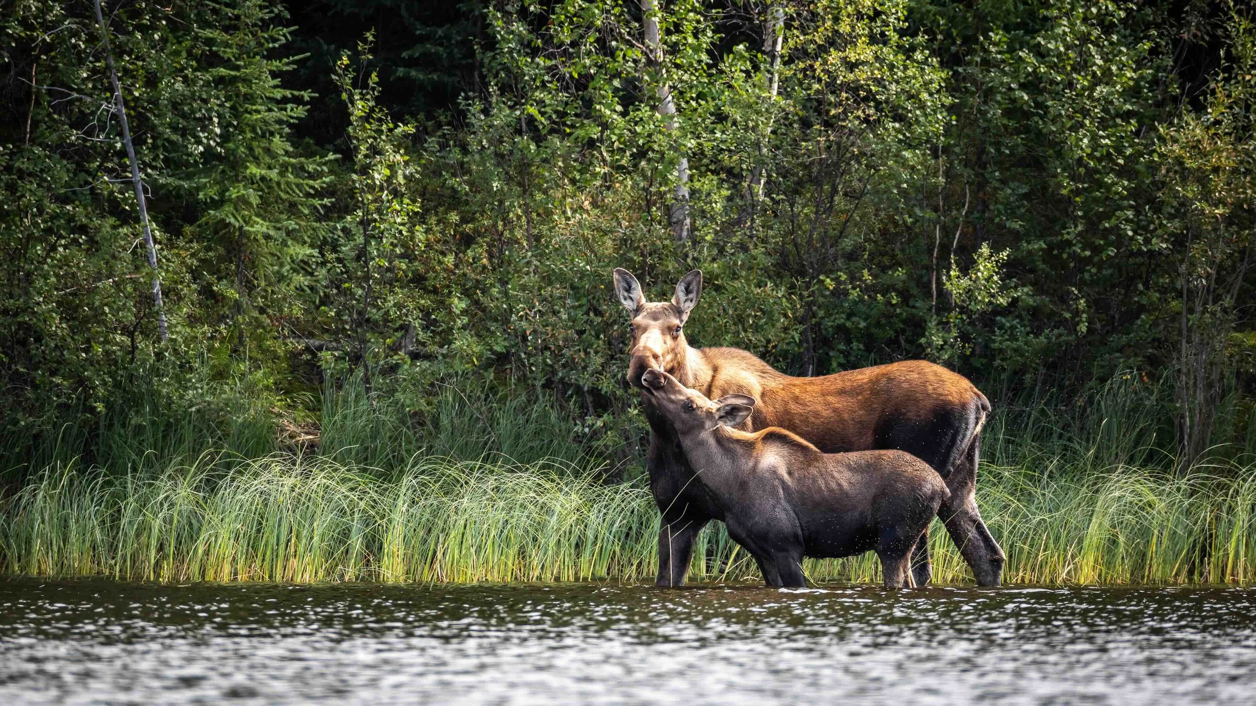 Copy of IMG_3609.jpeg