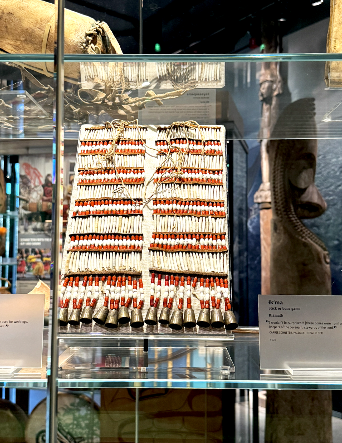 Burke Museum Exhibit