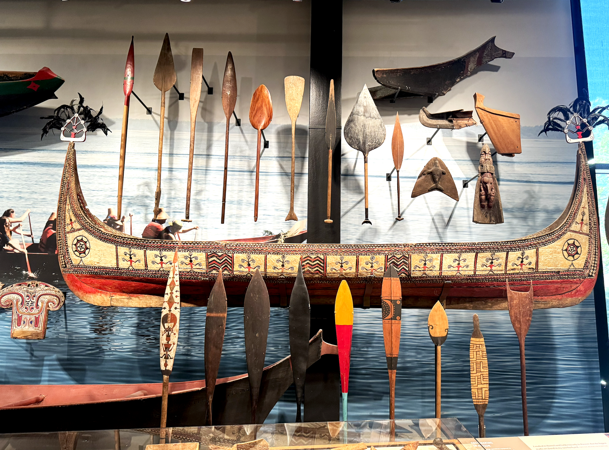 Burke Museum Exhibit
