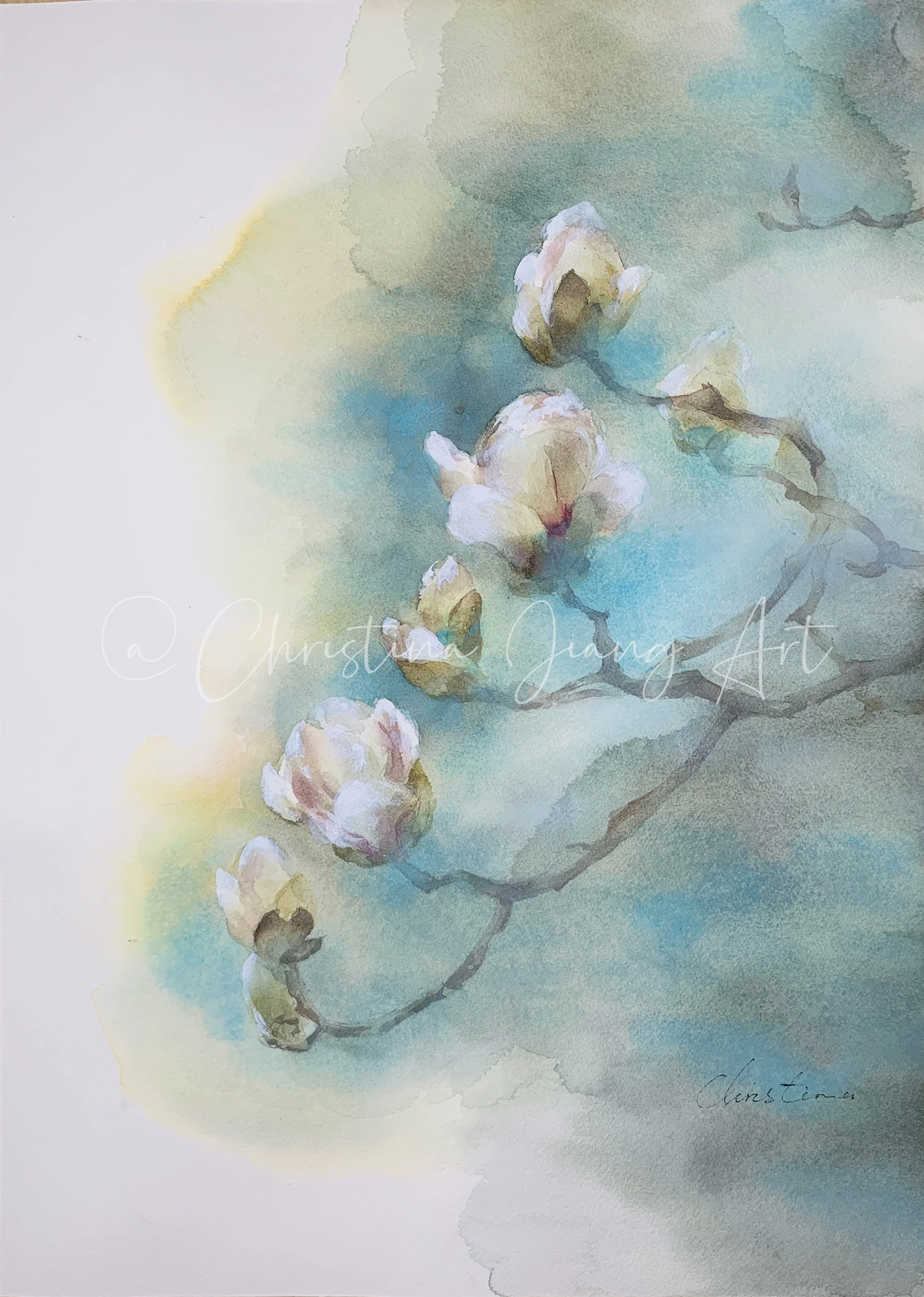The Promise of Magnolia