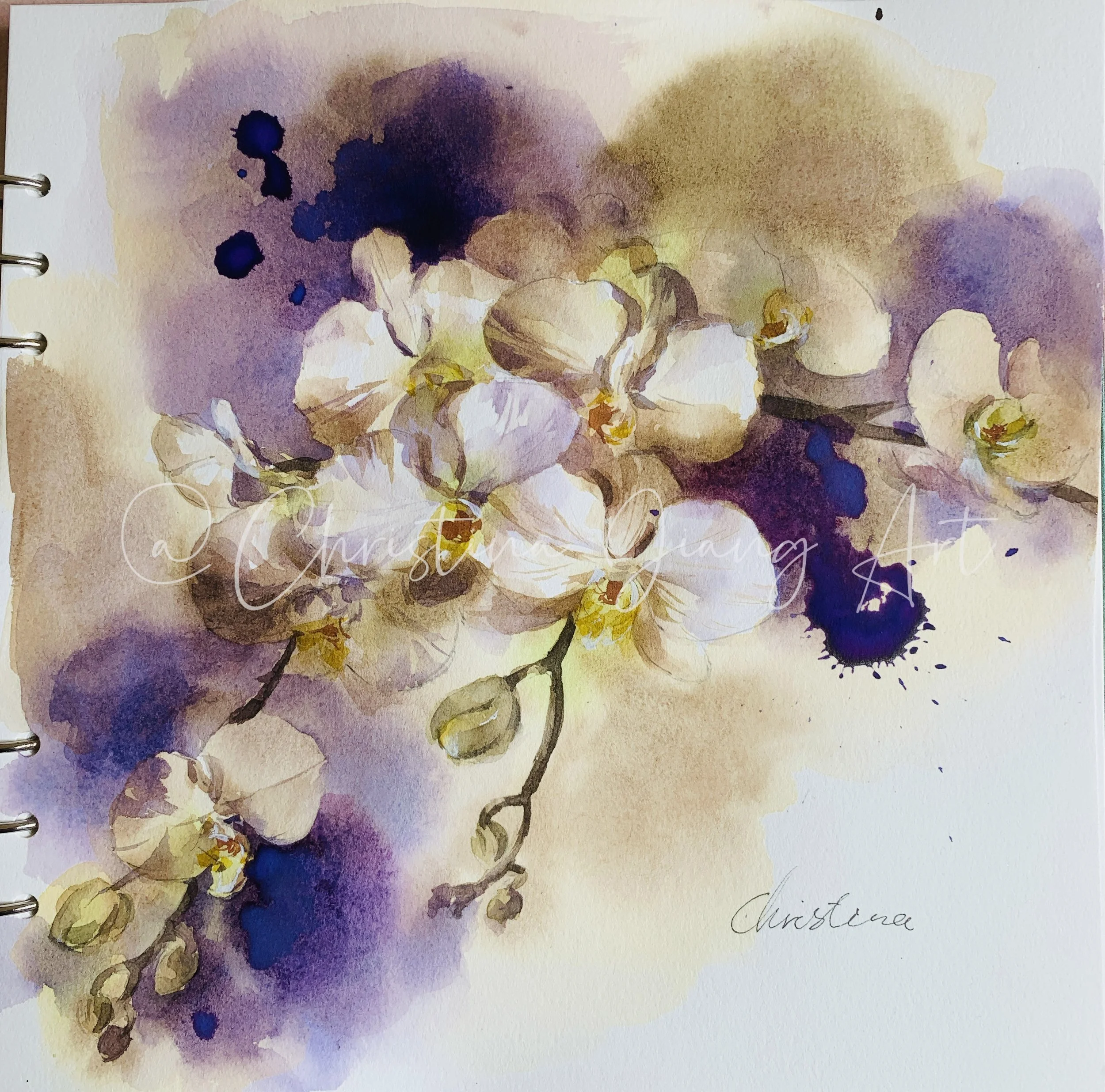 Orchids and Memories