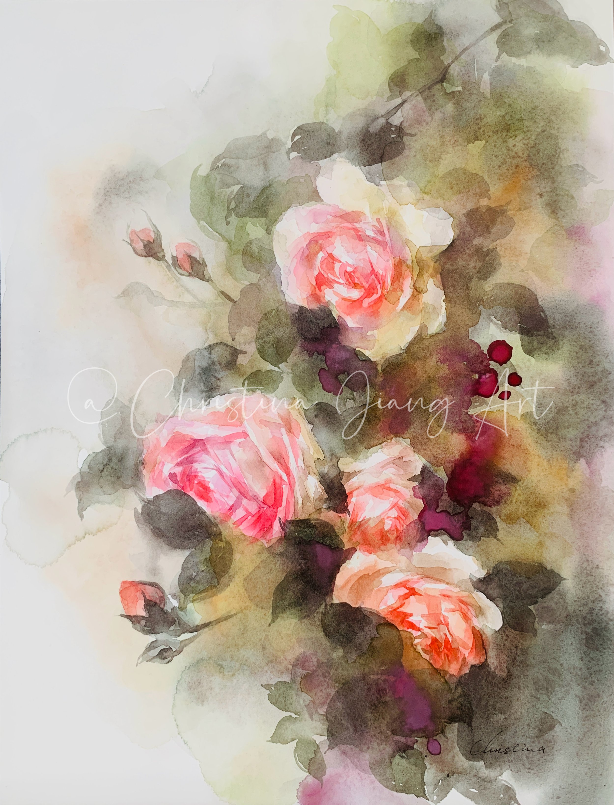 Rose watercolour 20261015
