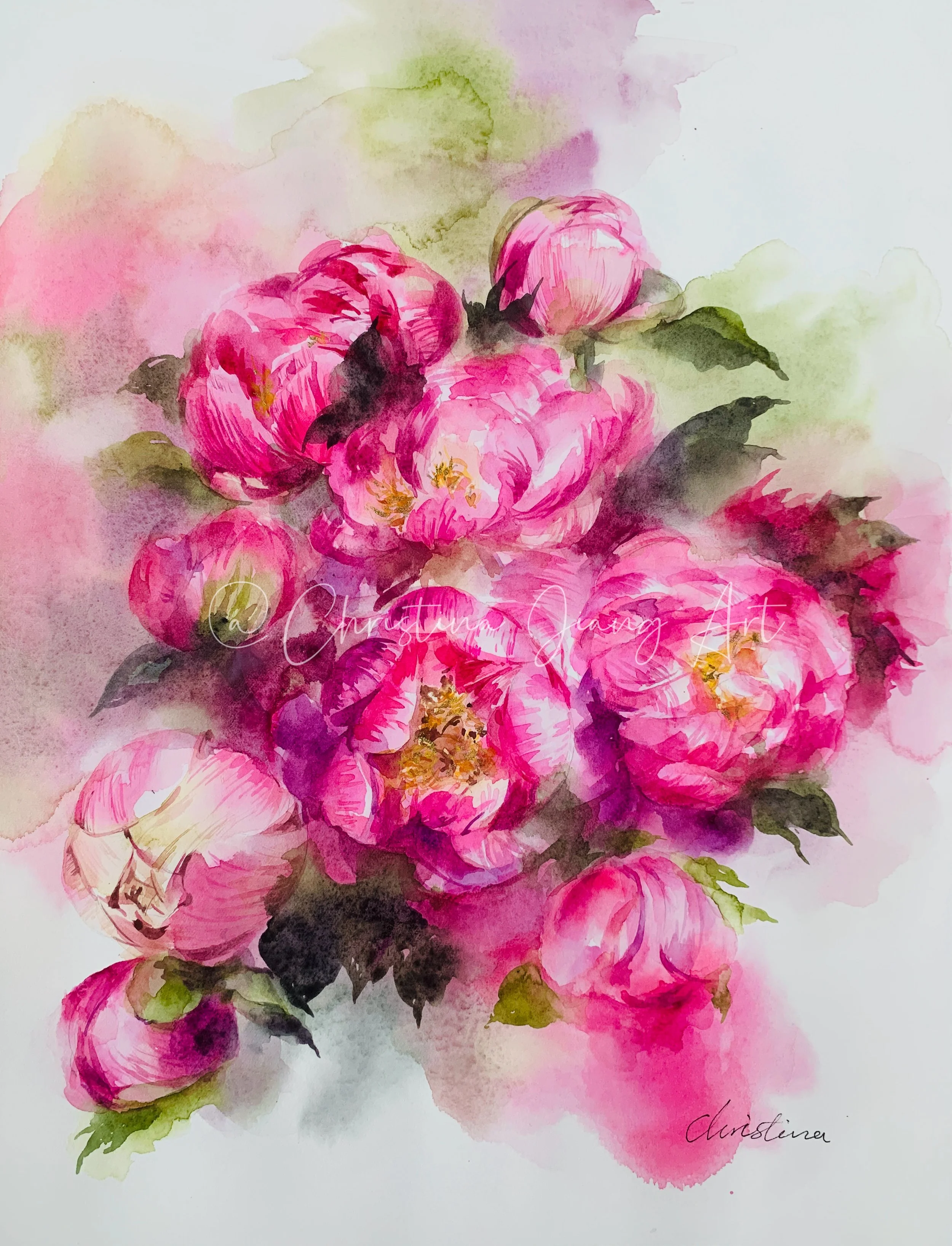 October Peonies