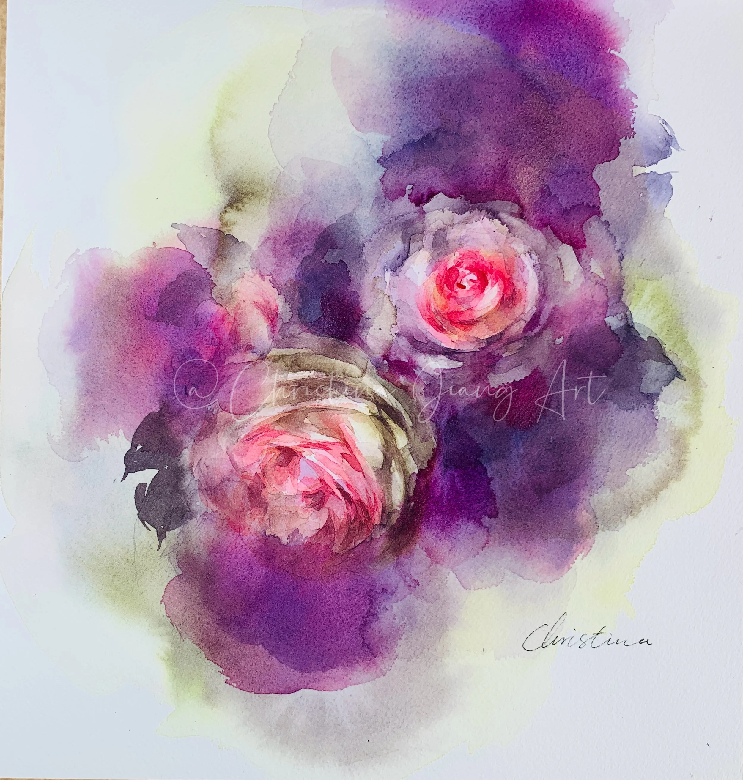 Dream Roses20260531