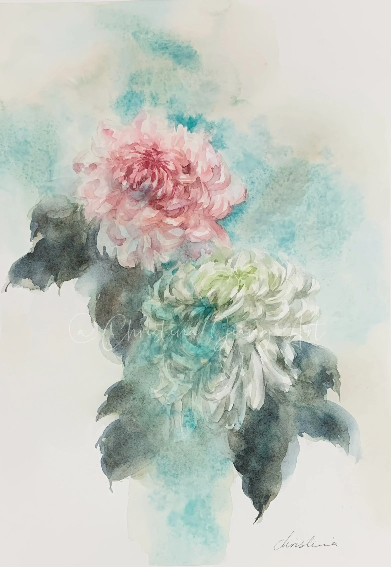 Autumn Chrysanthemums