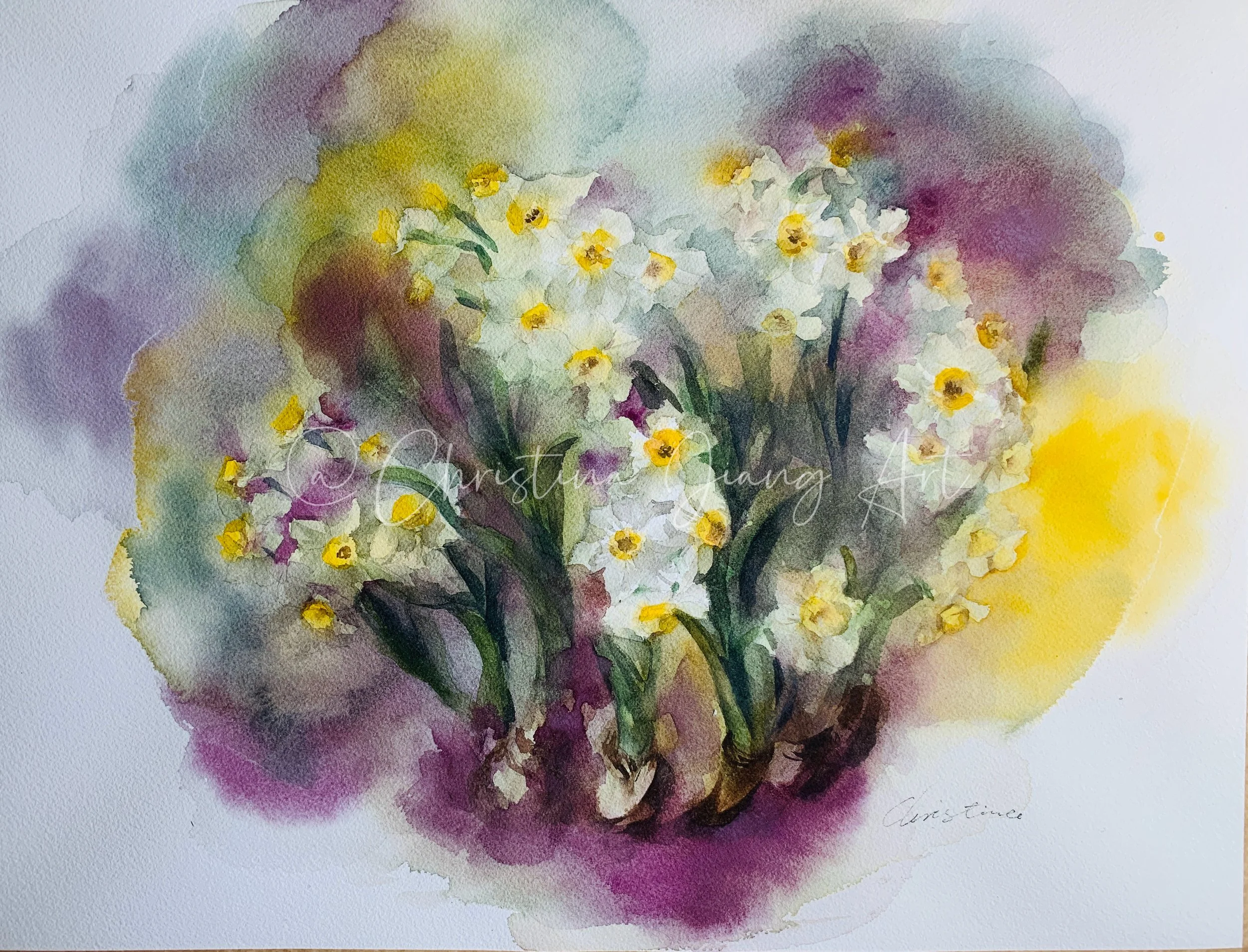 Daffodils