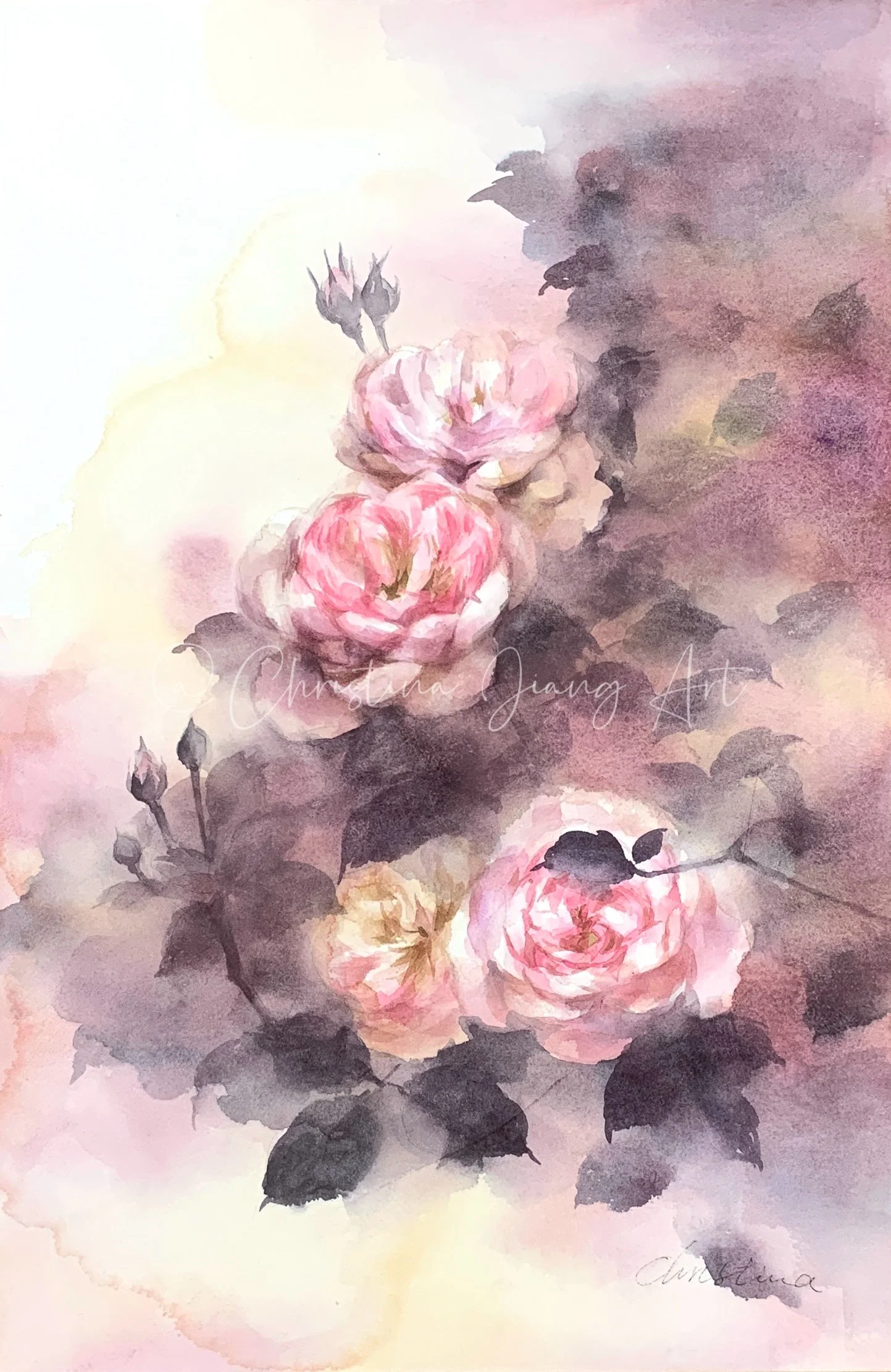 December Roses