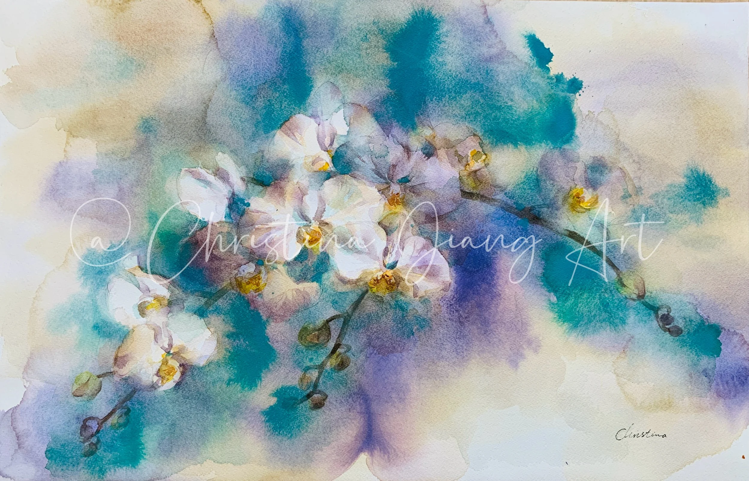 Orchids In Watercolour 20260426
