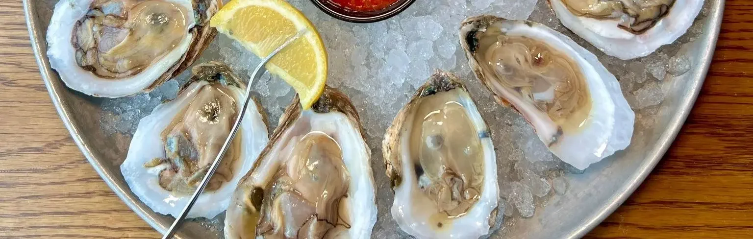 e6e2f5384f8fc70e1f421ee7b23987c028b08162-1536x1926.webp