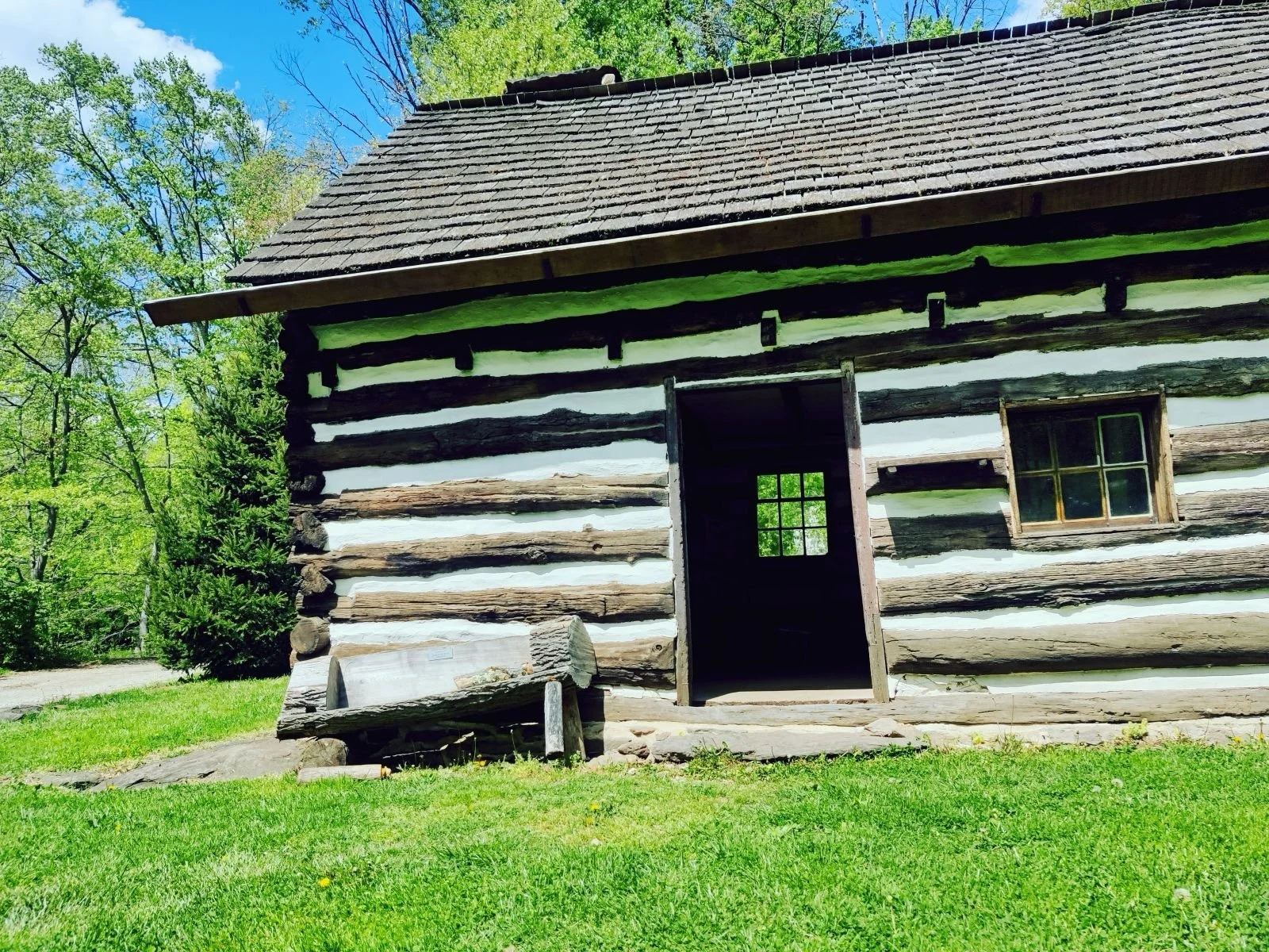 Lower Swedish Cabin