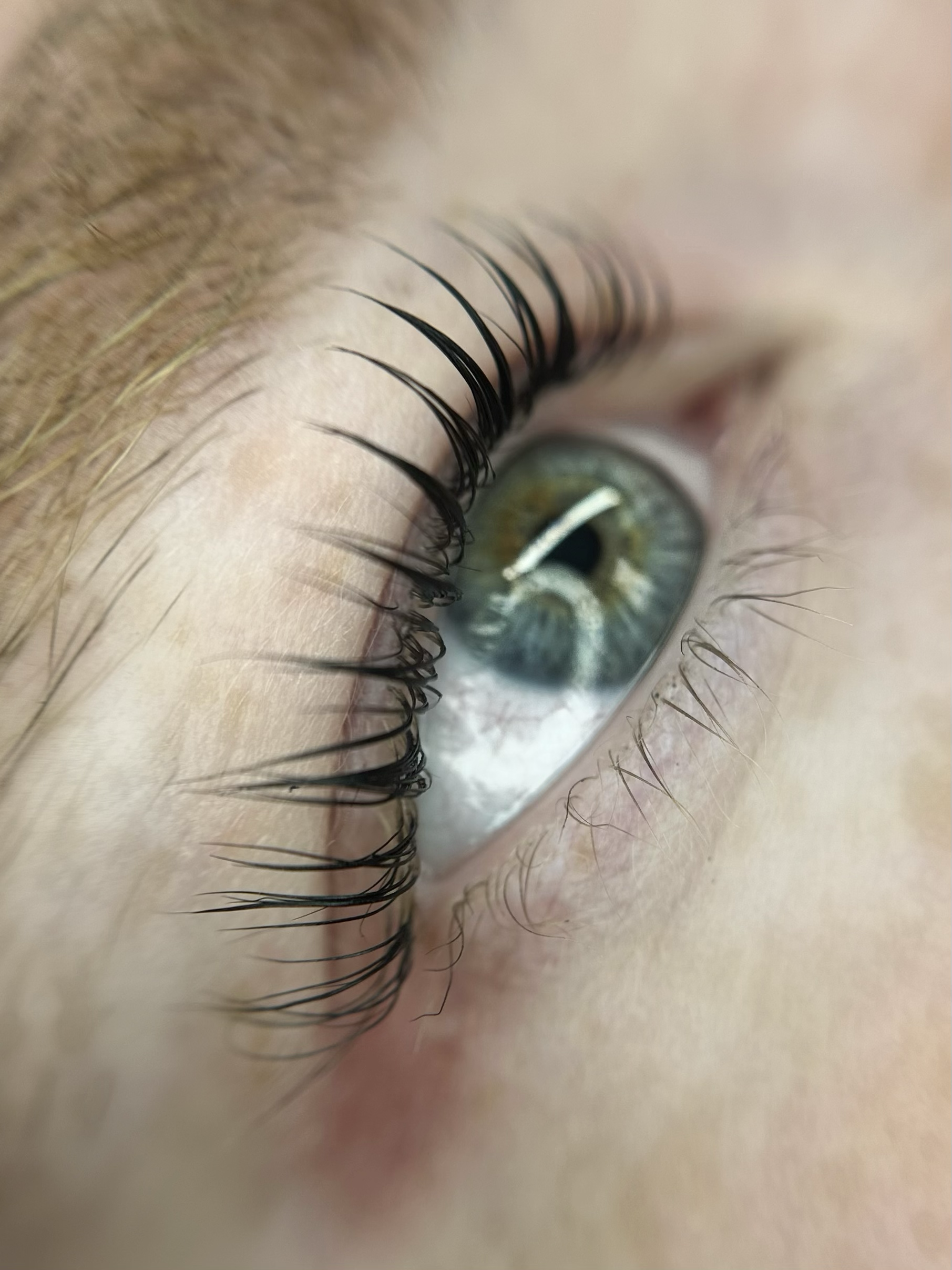 een lashlift bij lange wimpers bij schoonheidssalon Beauthé Geleen.