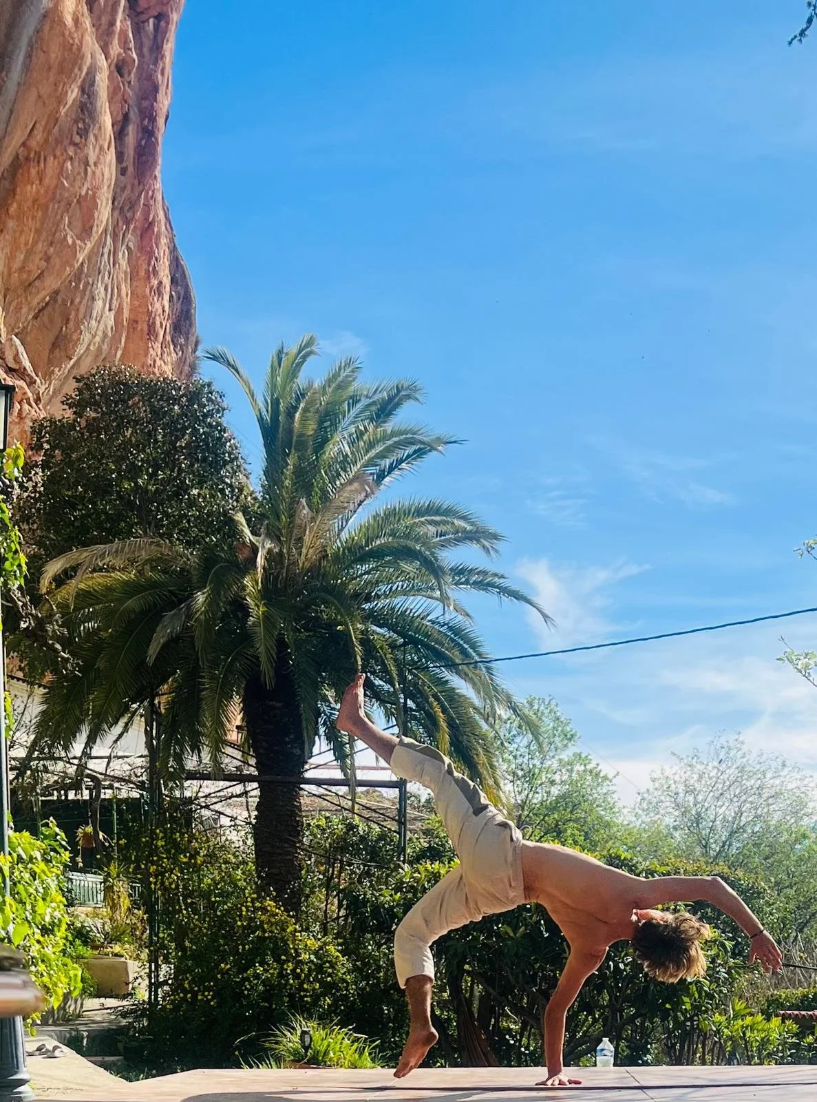 A person with curly hair doing a handstand on a wooden deck outdoors, with a large palm tree, lush greenery, a blue sky, and a rocky cliff in the background.