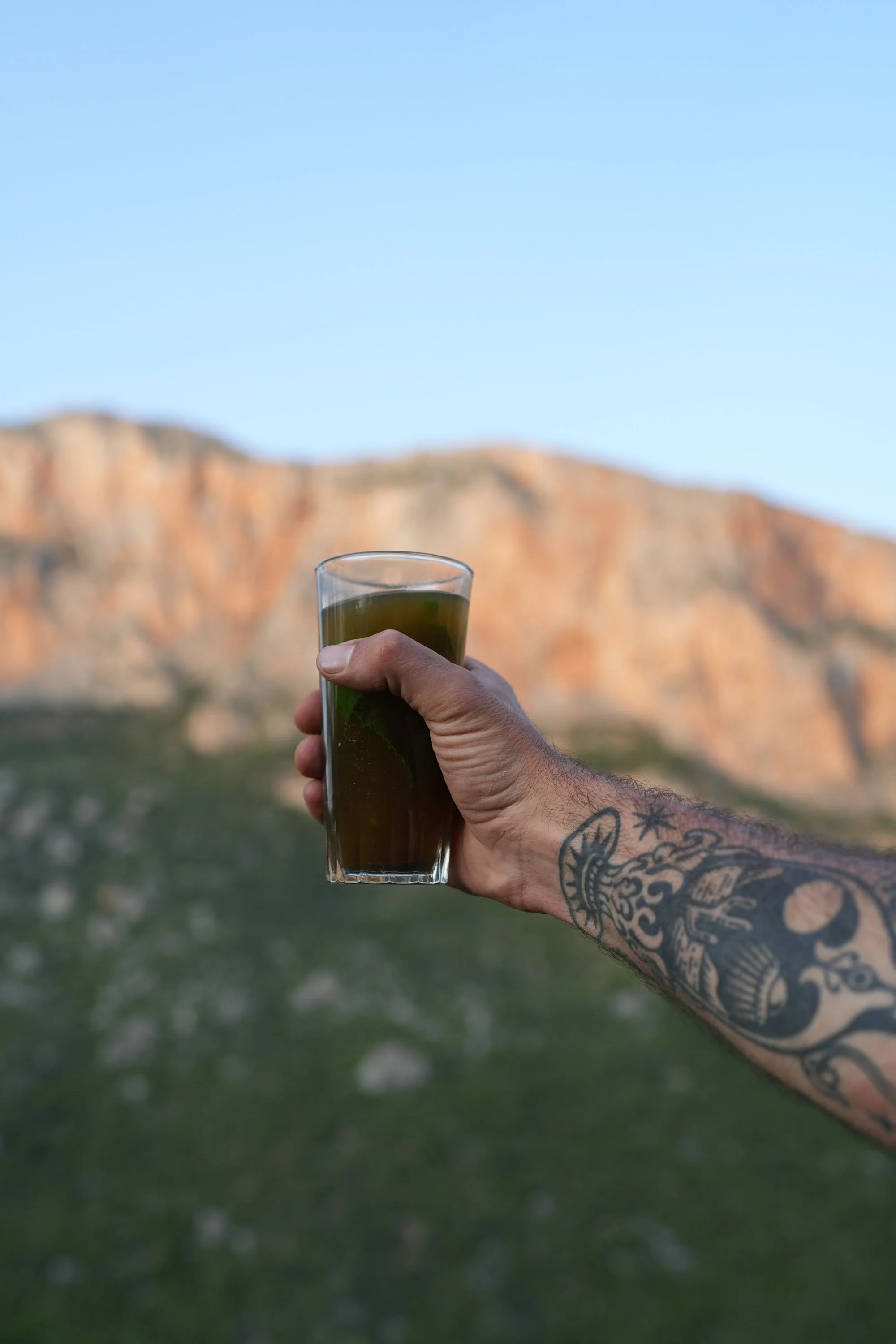 A person's tattooed arm holding a glass of green juice or smoothie outdoors with mountains and a clear blue sky in the background.