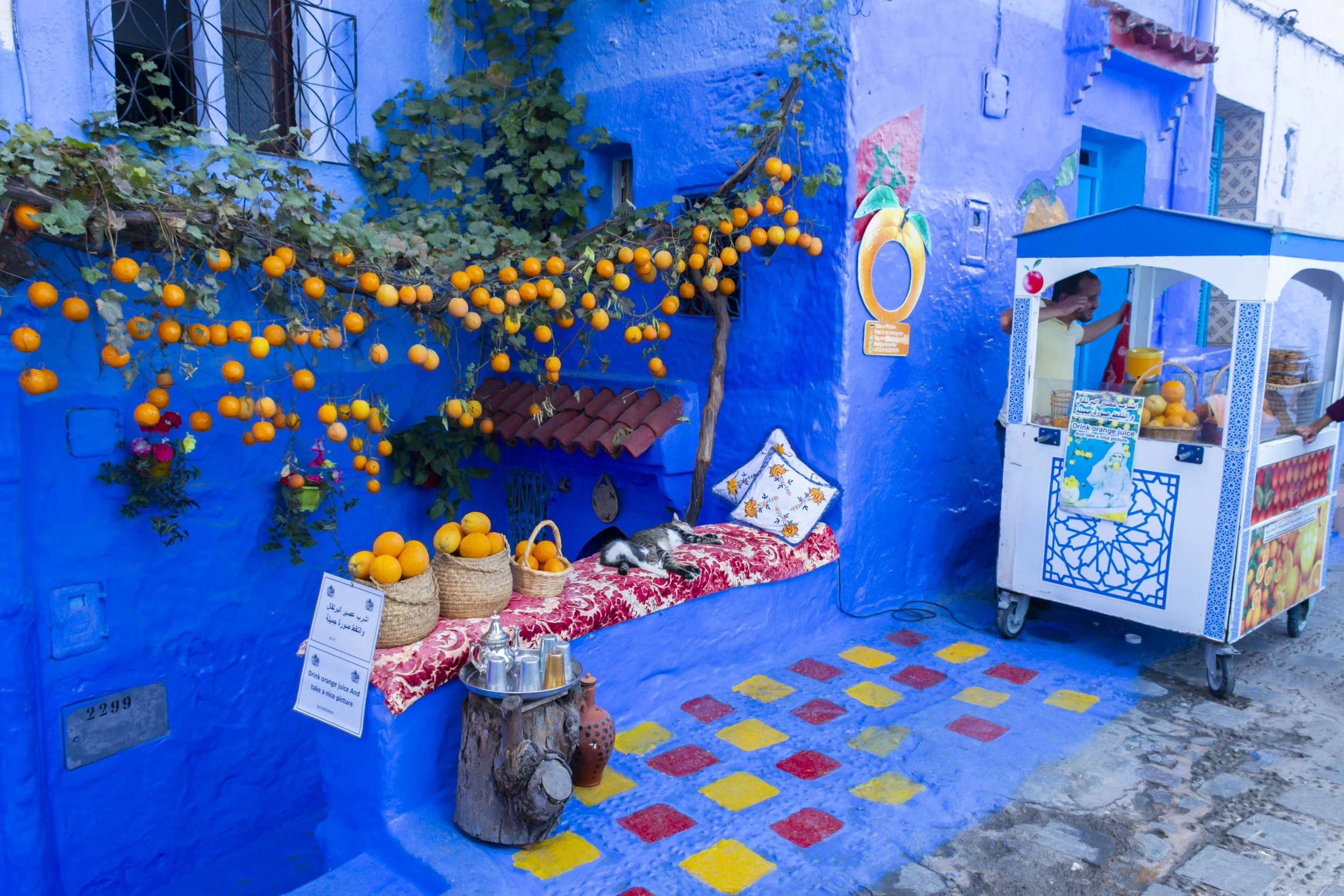 A street stand selling oranges, with a hanging branch of orange fruit, baskets full of oranges, a woman inside the cart, and a lounging cat on a patterned cushion next to a table with a silver tray and vases, all set against a vibrant blue wall.