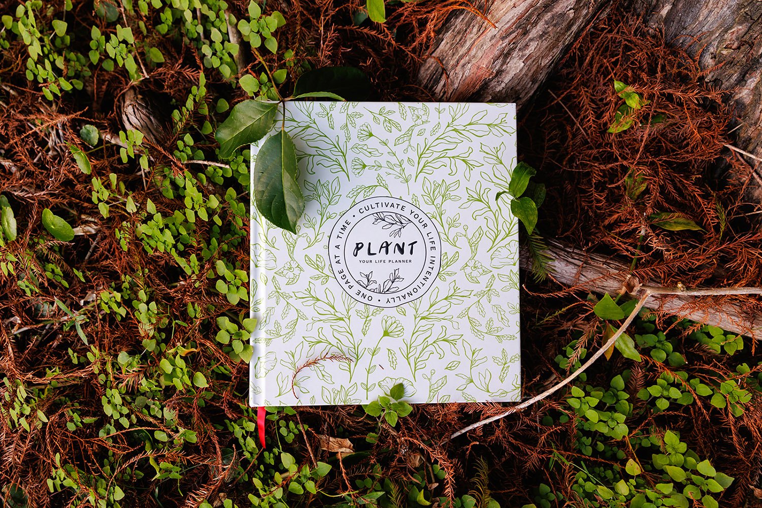 book cover design
