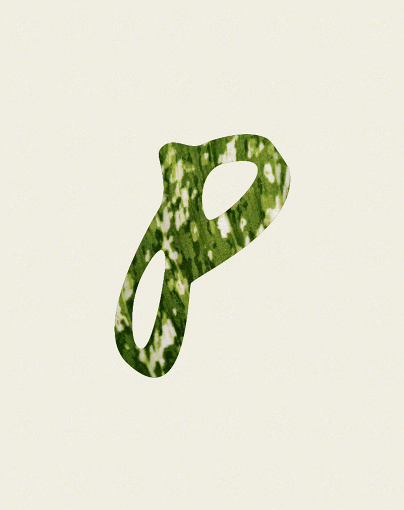 brandmark design
