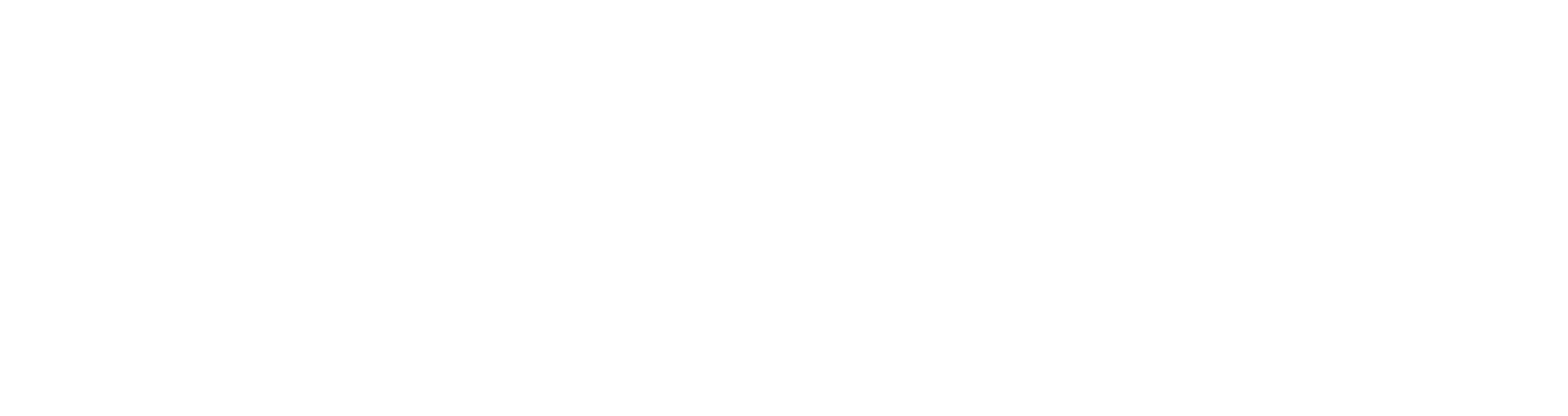 Logo du magasin The Frankie Shop en blanc sur fond noir