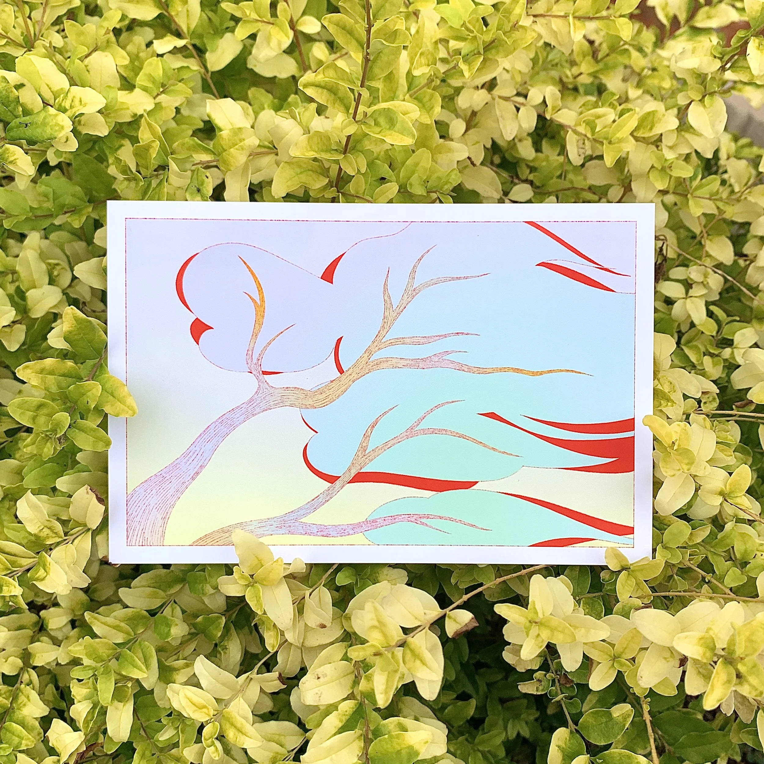 cool tone gradient tree in the wind with a red shadow