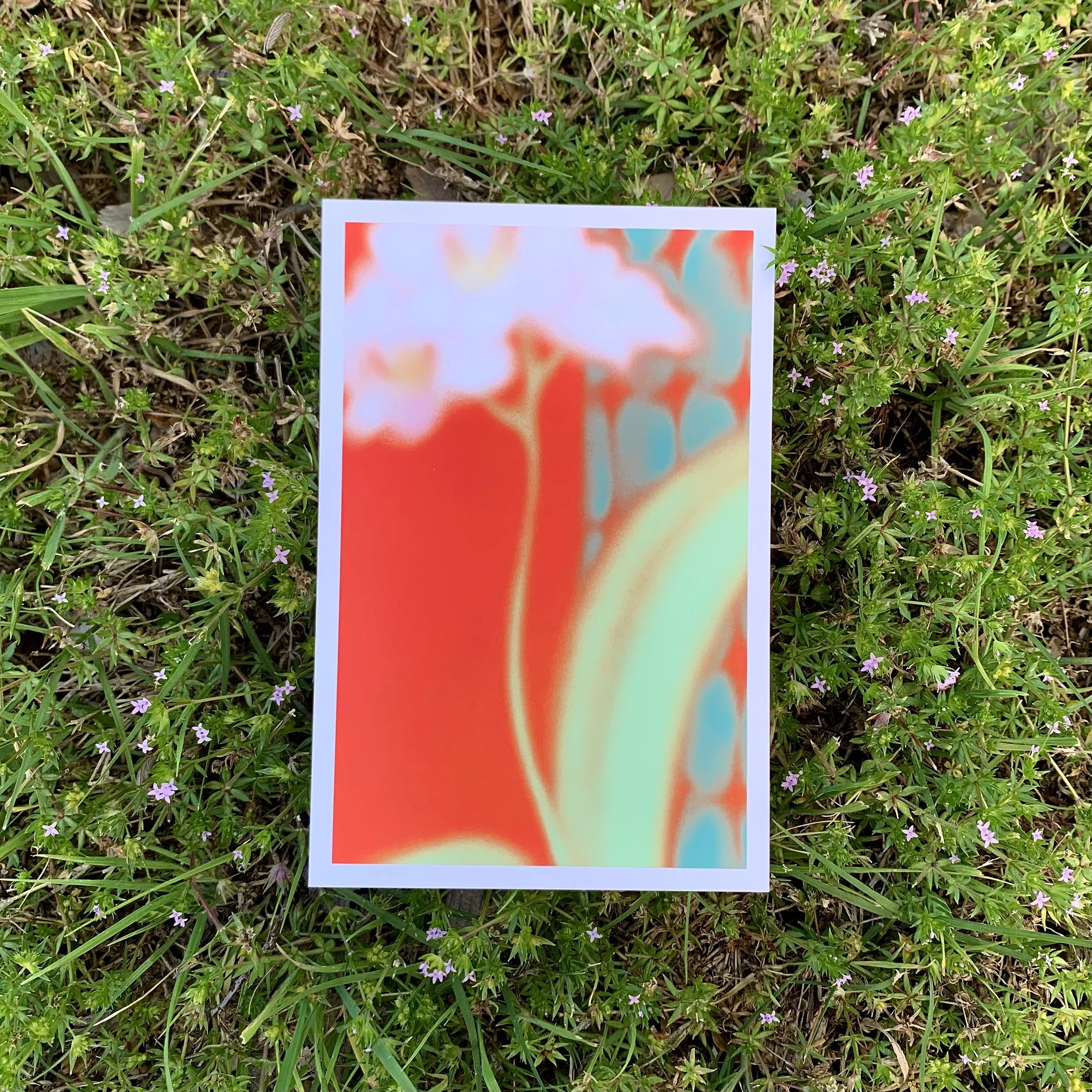 Glass effect of white orchid plant against red background