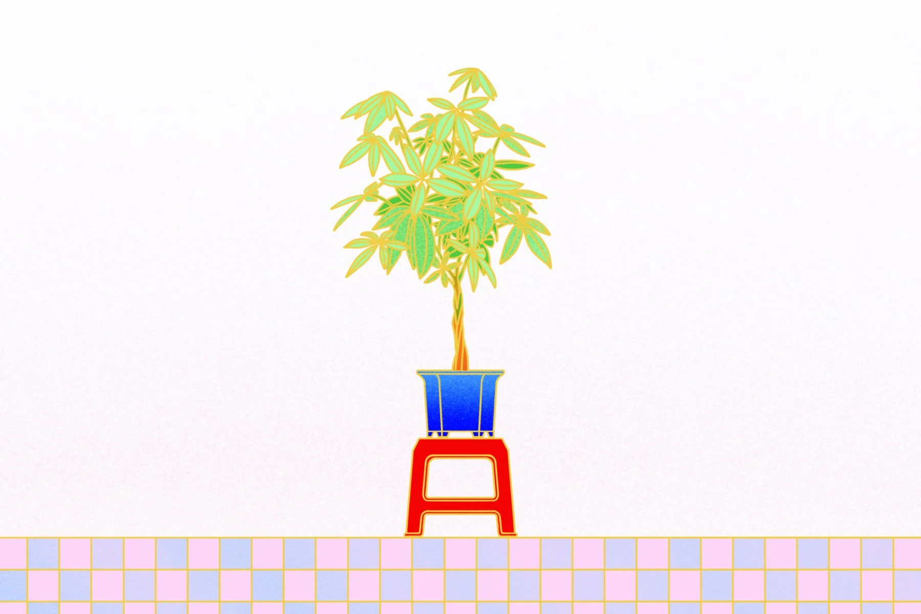 Close up detail of money tree in a blue pot placed on top of a red stool, pastel pink and purple checkered flooring