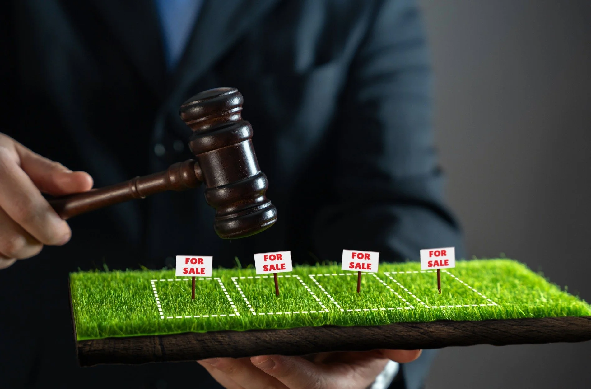 How Holiday Seasons Change California Land Auction Choices