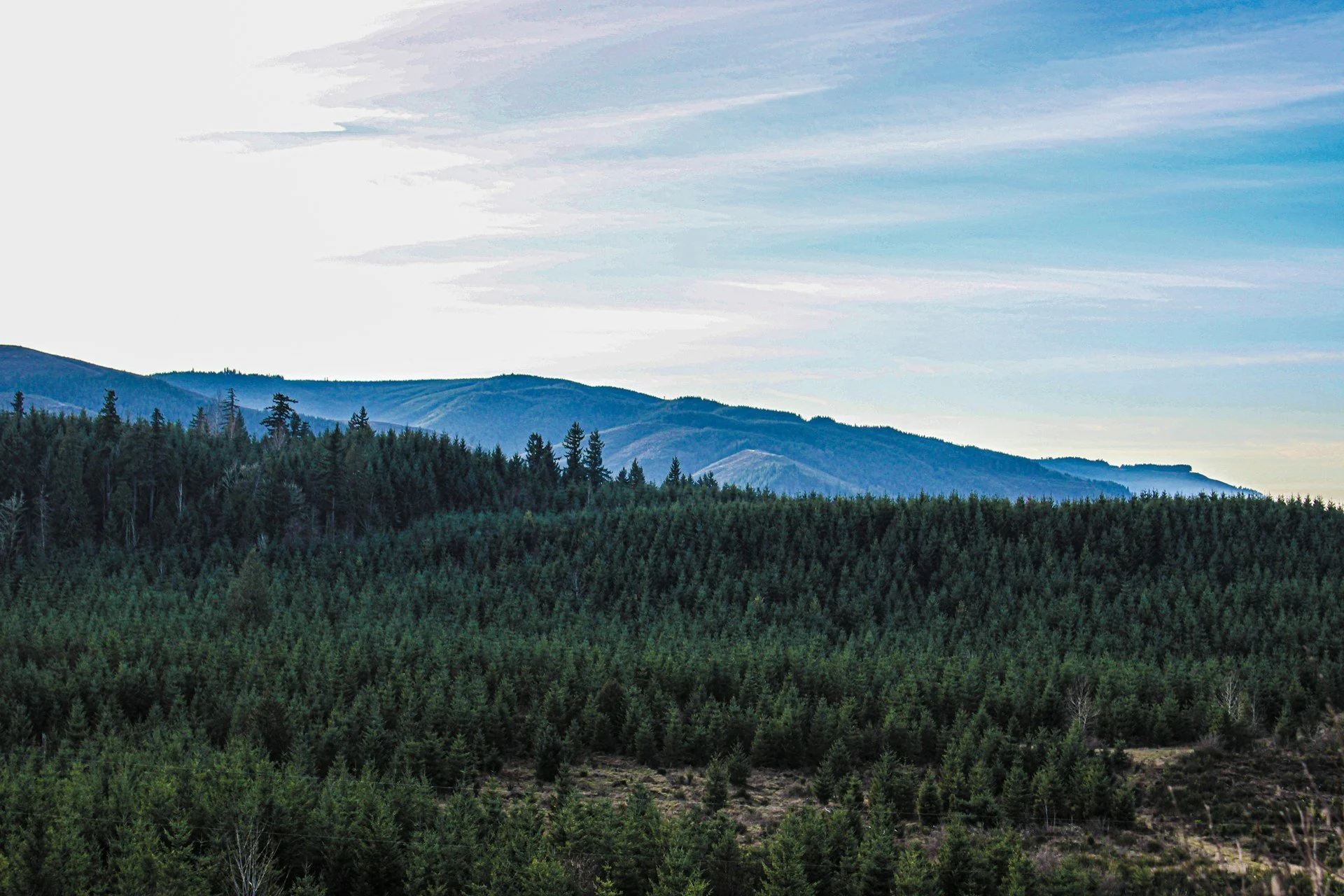 What Makes California Off Grid Land Work Better in Winter?