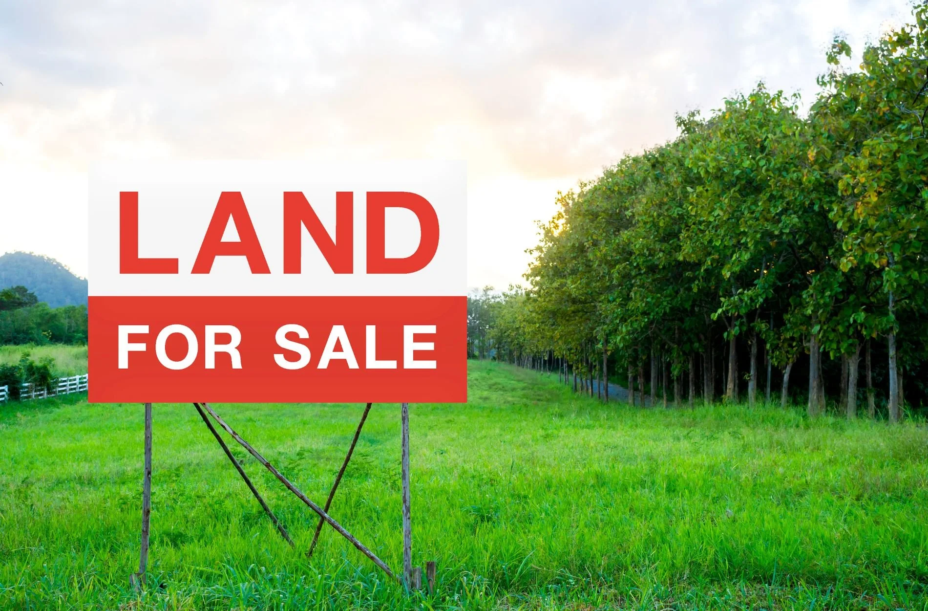 Guide to Selling My Land in California Before the New Year