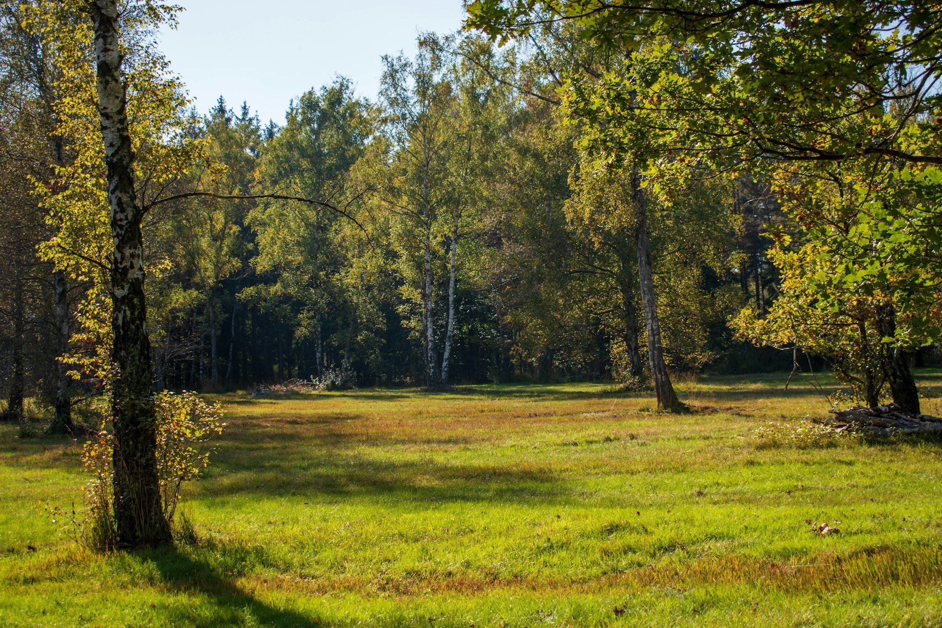 Why Undeveloped Land in California Needs Attention Now